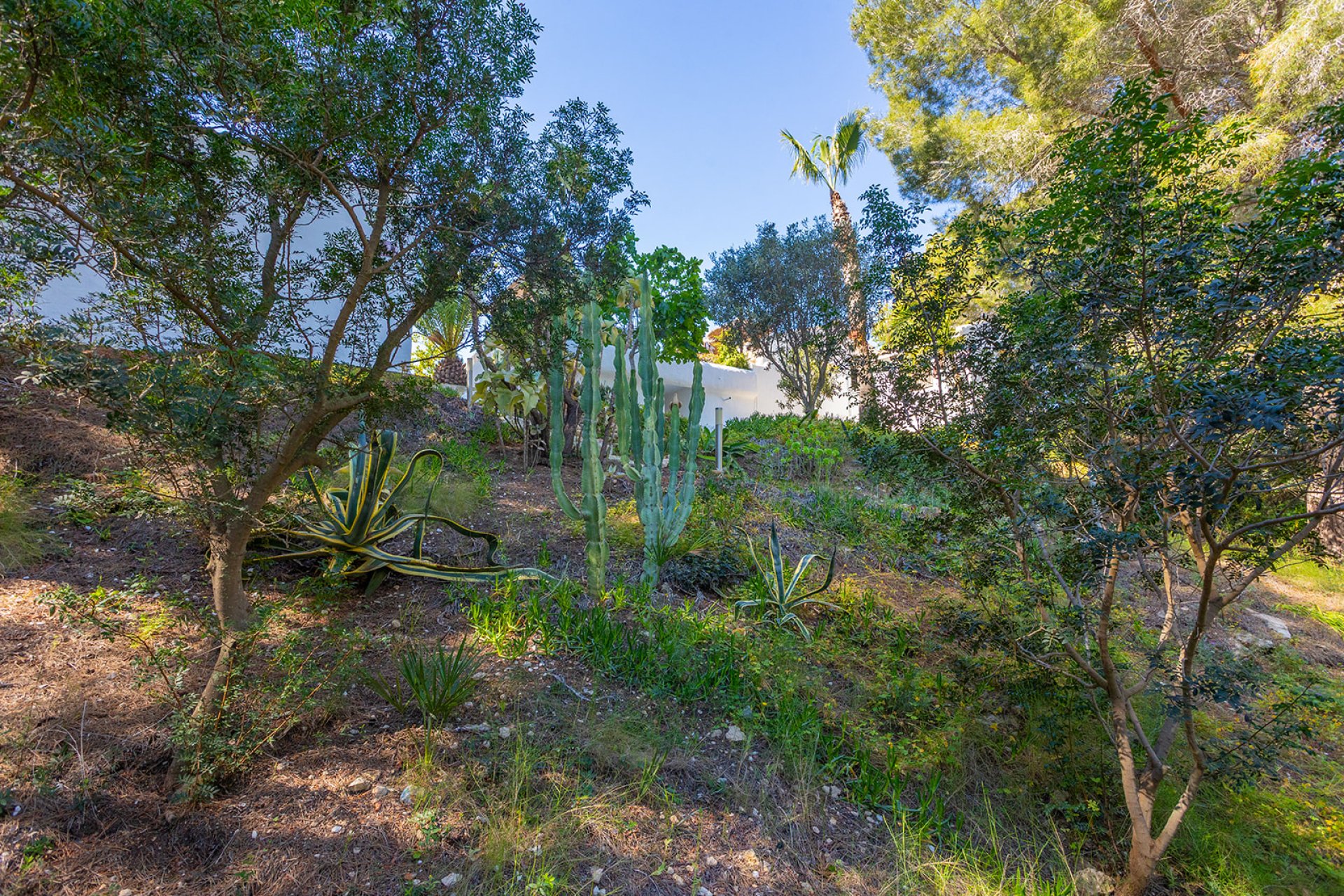 Resale - Villa -
Orihuela - Orihuela Costa