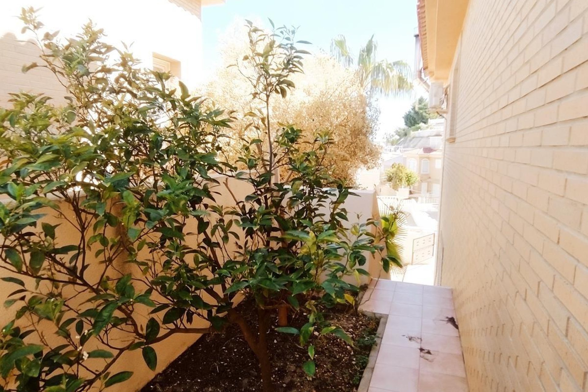 Resale - Villa -
Rojales - Costa blanca sur