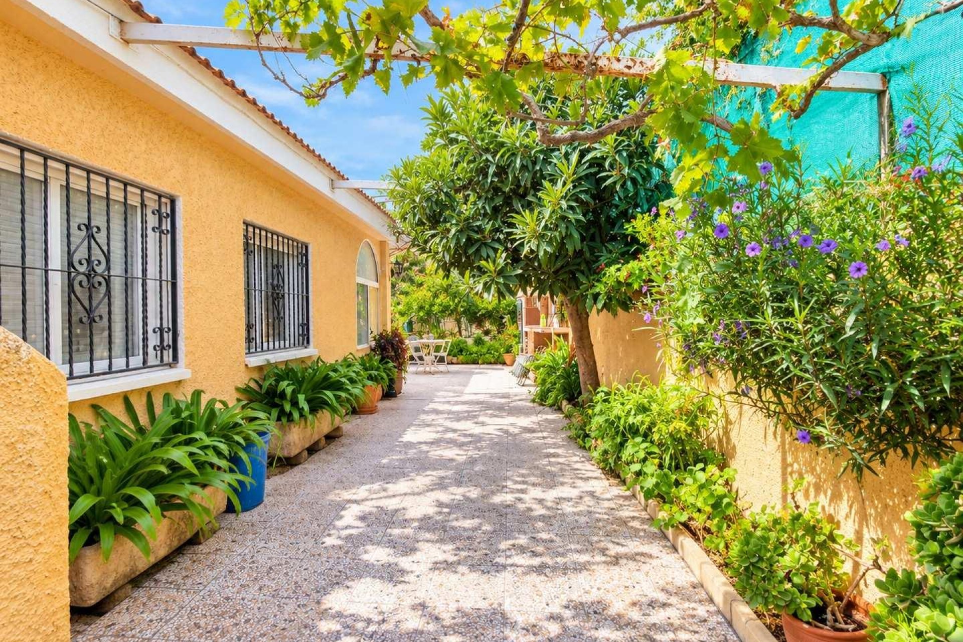 Resale - Villa -
San Miguel de Salinas - Ciudad De Las Comunicaciones