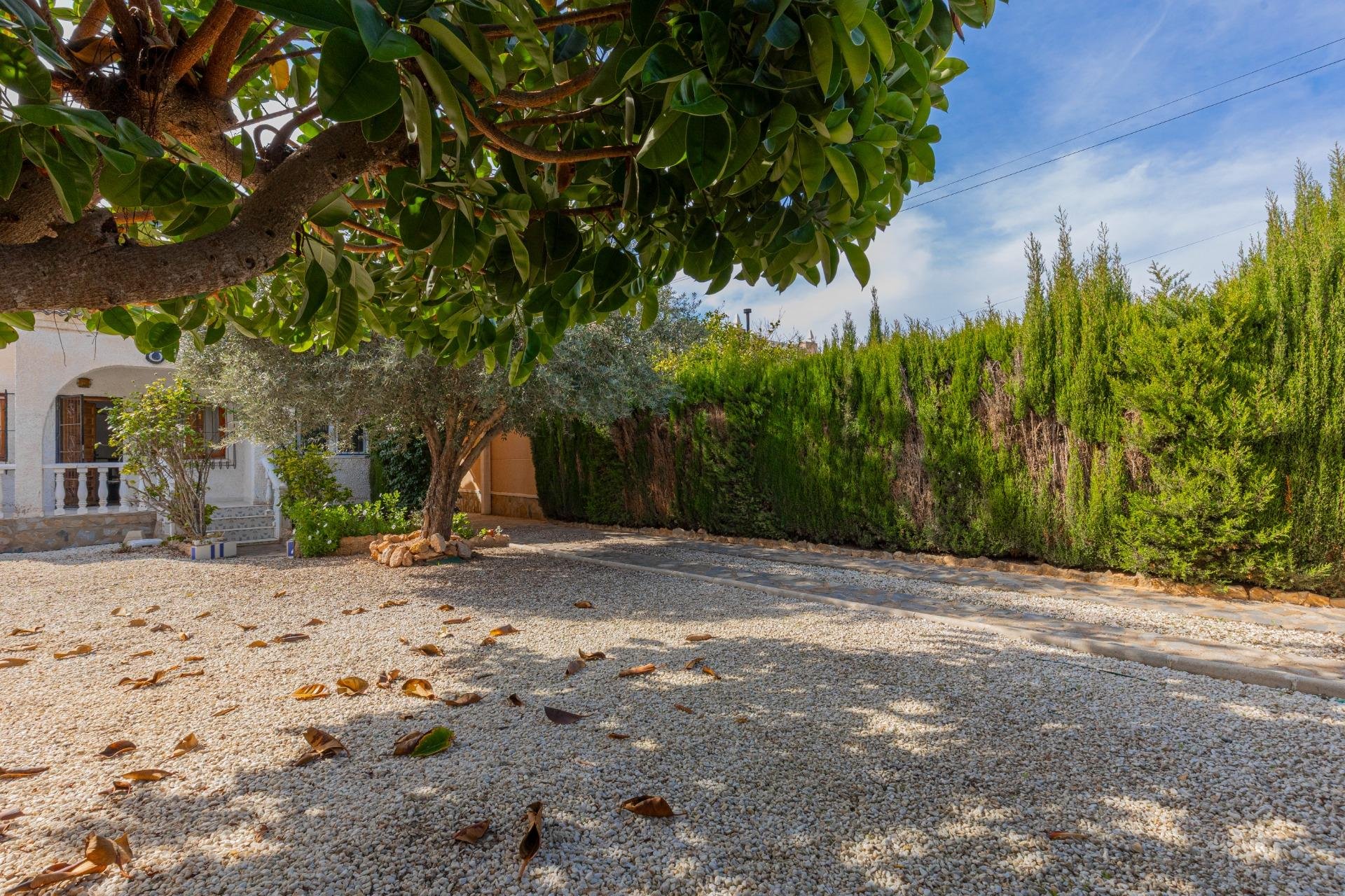 Resale - Villa -
Torrevieja - San Luis - Chaparal