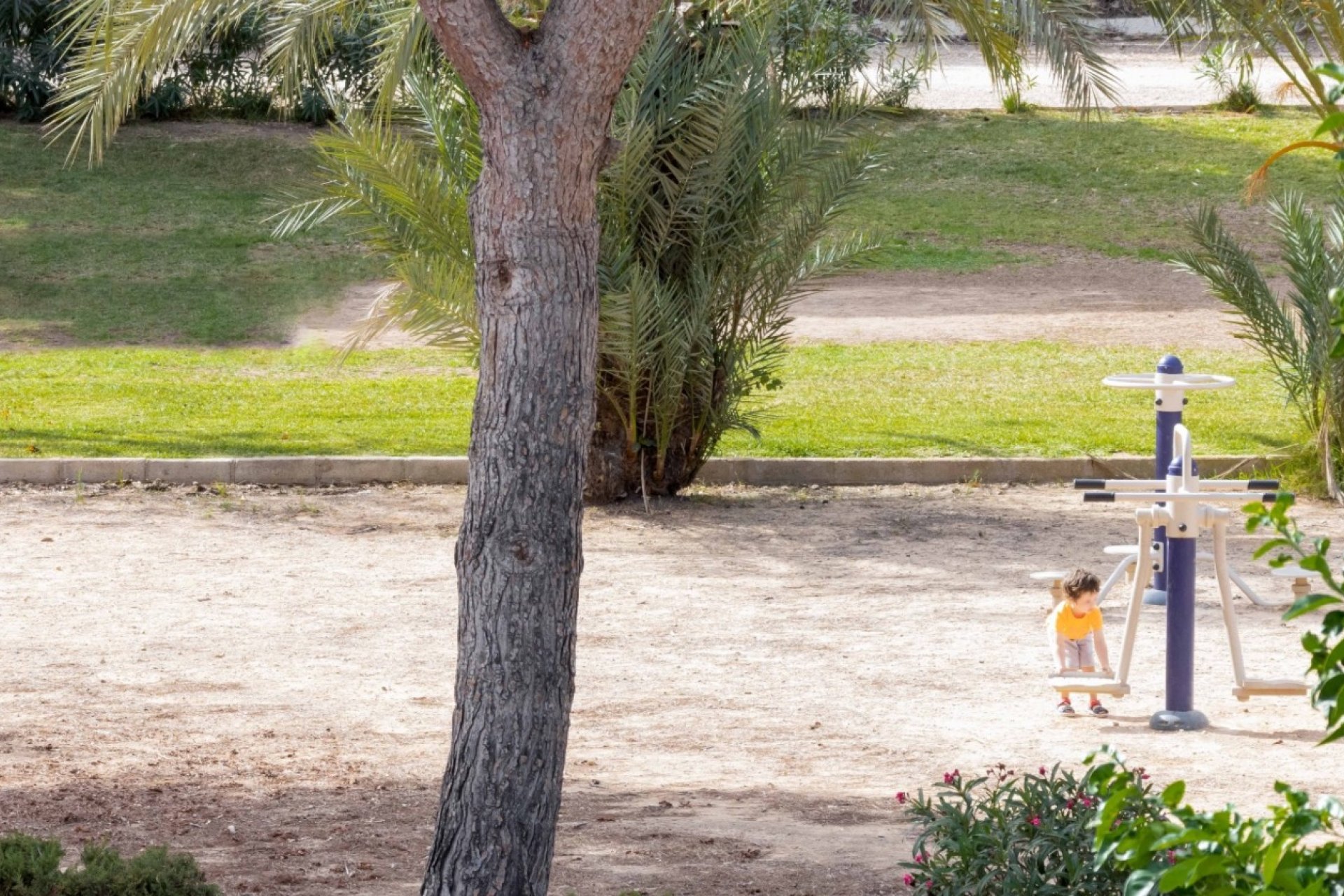 Reventa - Adosado -
Orihuela Costa - La Zenia