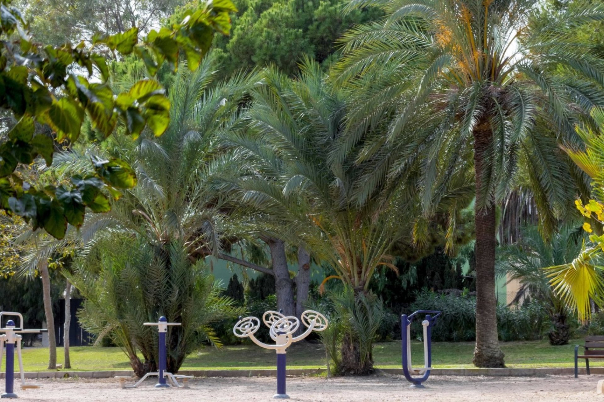Reventa - Adosado -
Orihuela Costa - La Zenia