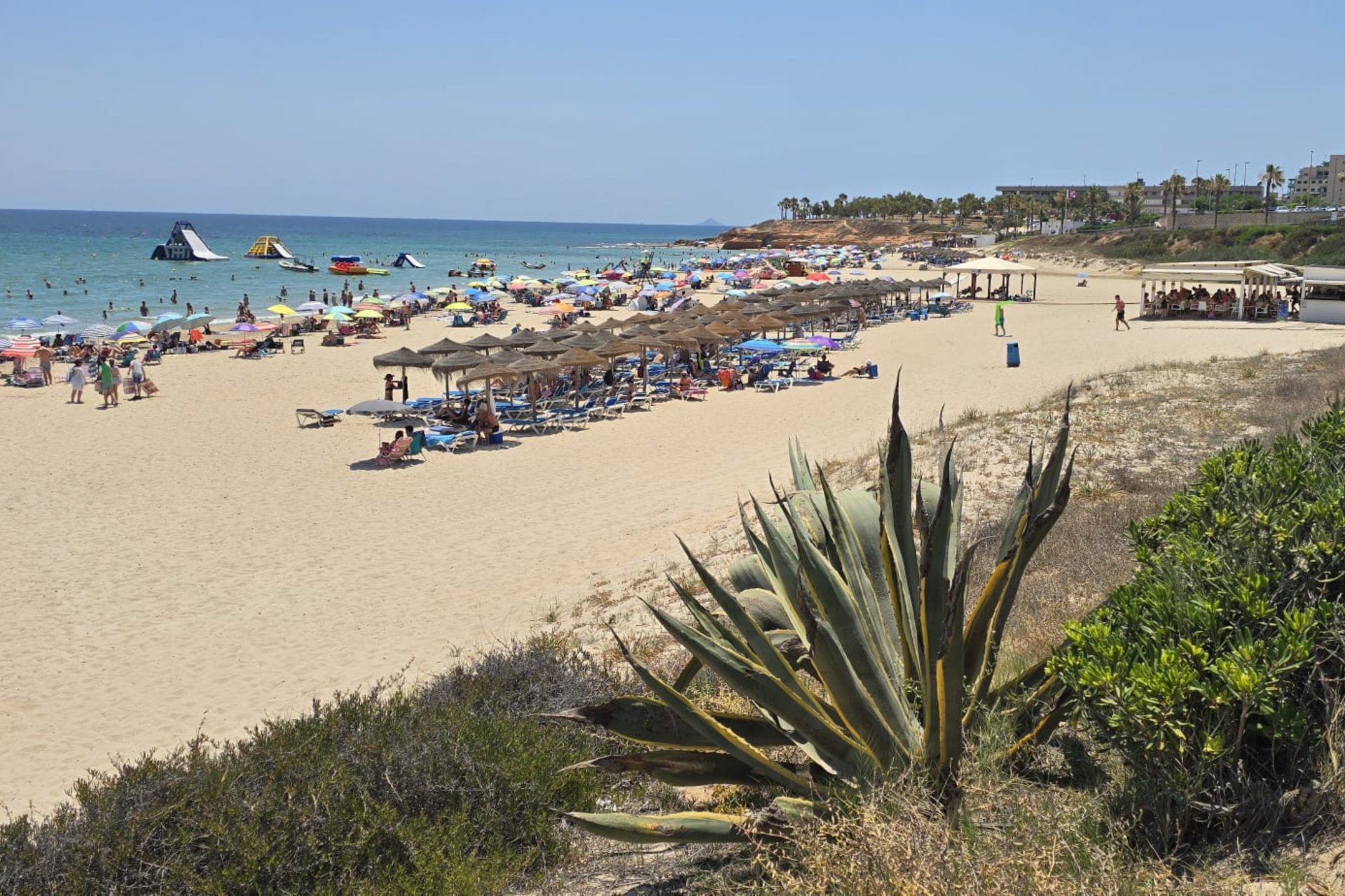 Reventa - Adosado -
Orihuela Costa - Mil Palmeras