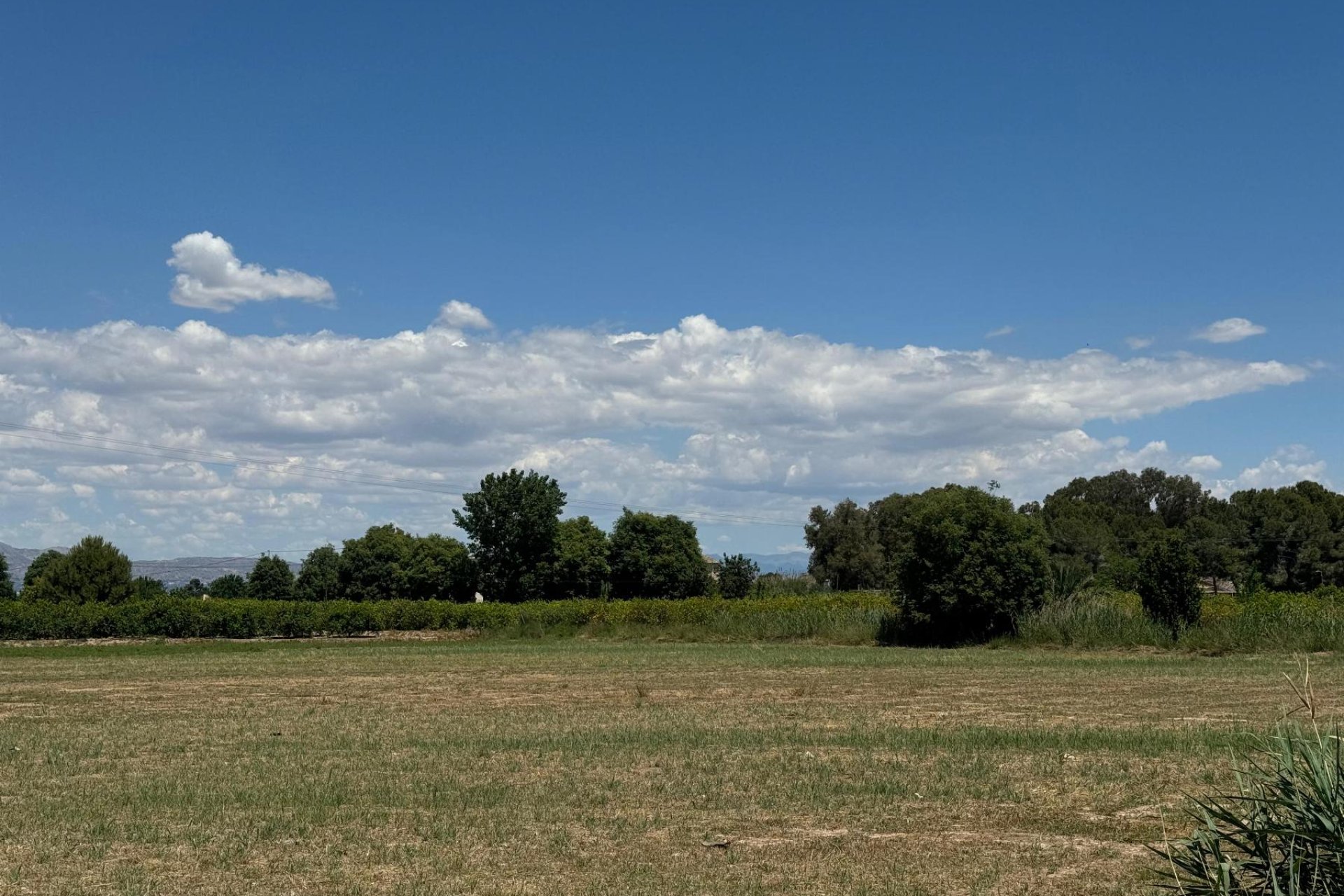 Reventa - Apartamento / piso -
Almoradí