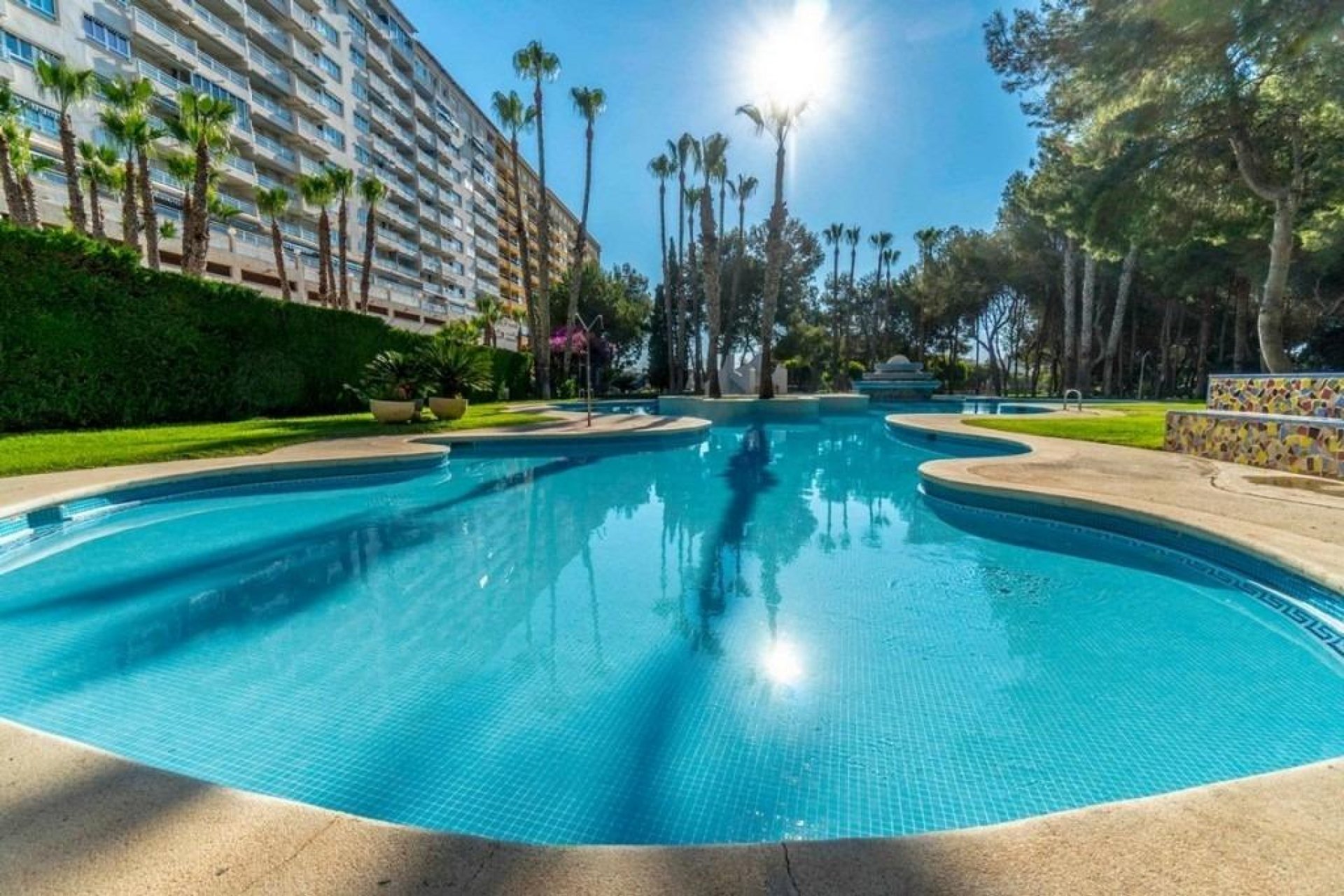 Reventa - Apartamento / piso -
Dehesa de campoamor - Altos de campoamor
