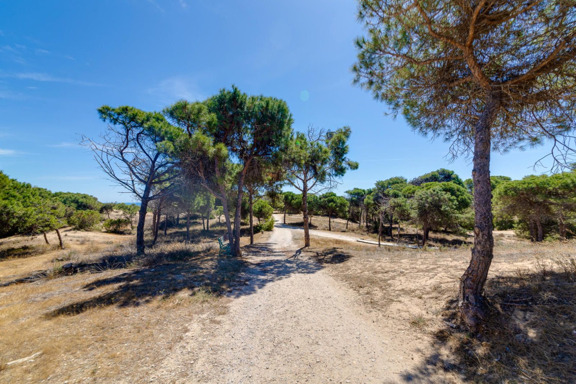 Reventa - Apartamento / piso -
Guardamar del Segura - Pinomar