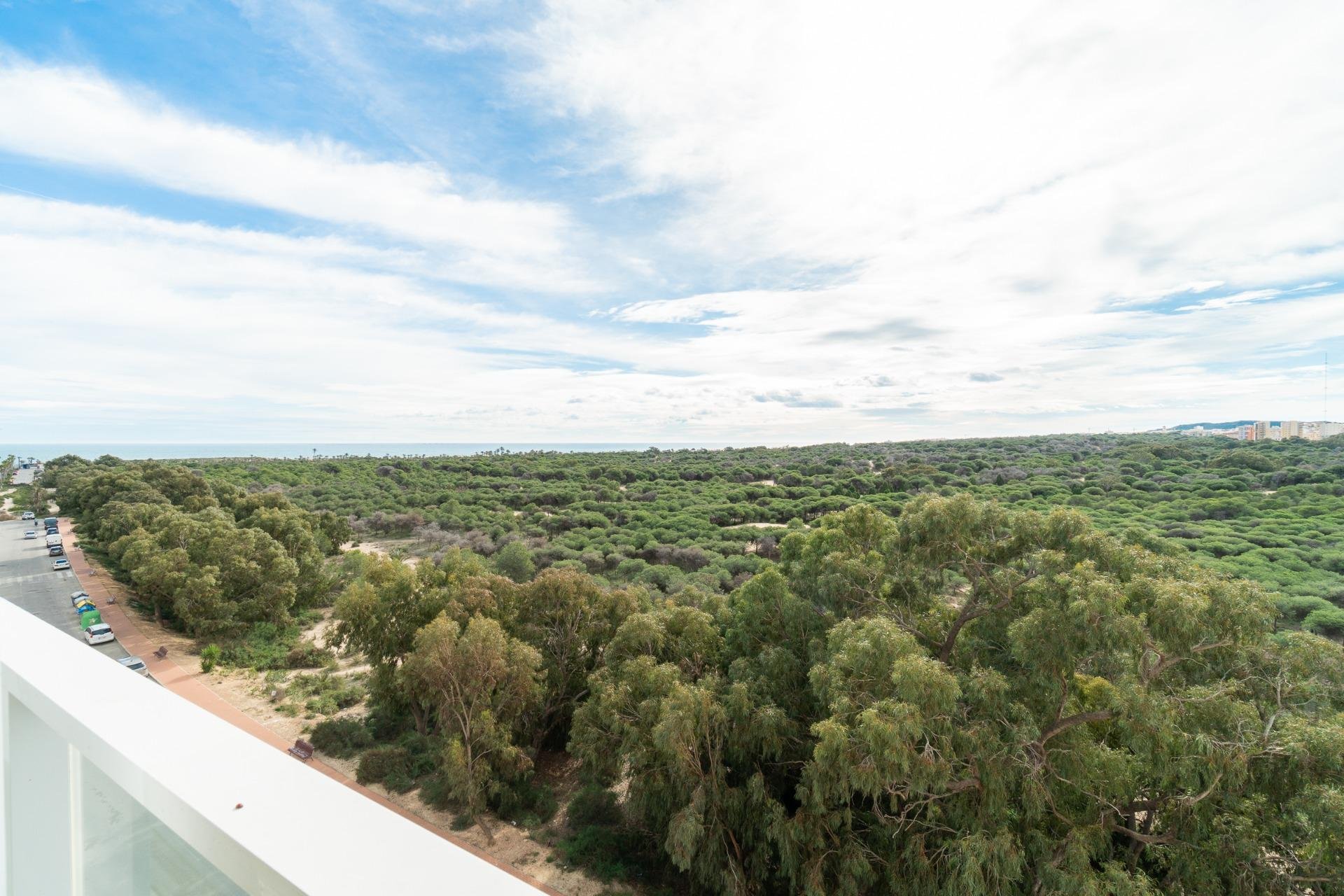 Reventa - Apartamento / piso -
Guardamar del Segura - Puerto Deportivo