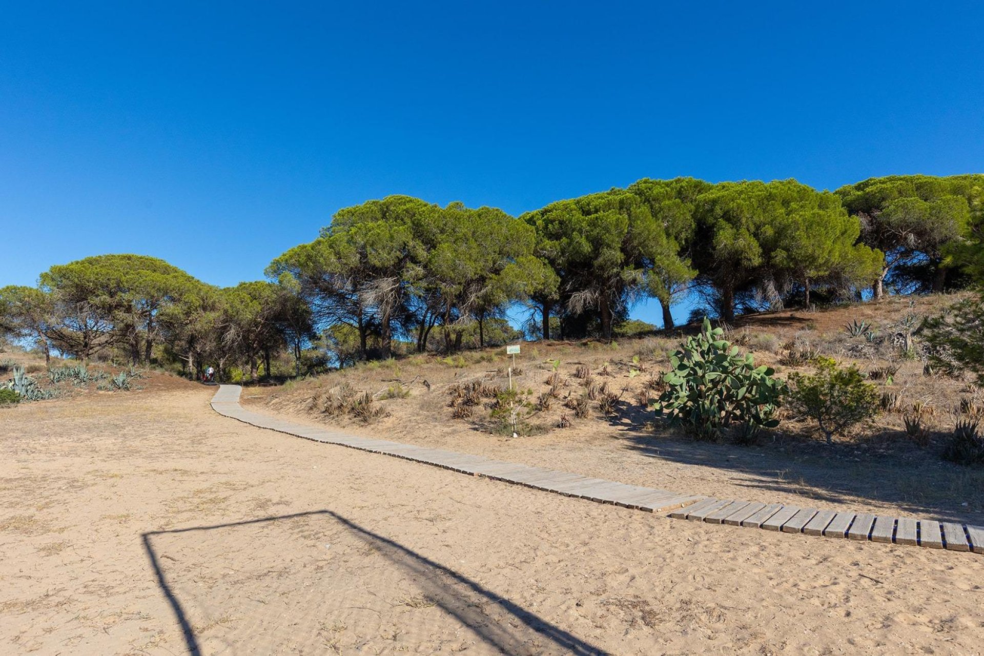 Reventa - Apartamento / piso -
Guardamar del Segura - Urb. pinomar