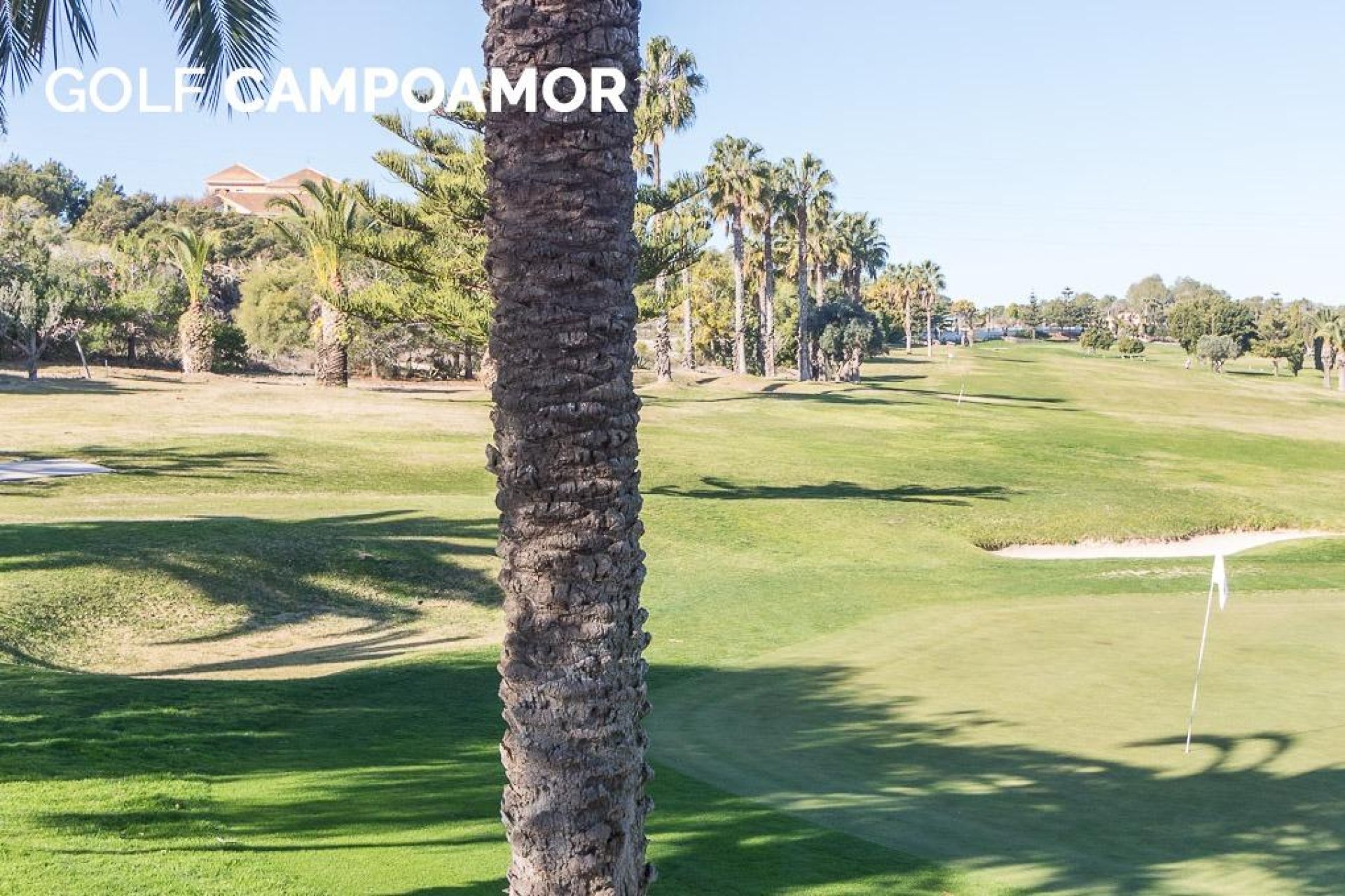 Reventa - Apartamento / piso -
Orihuela Costa - Campoamor