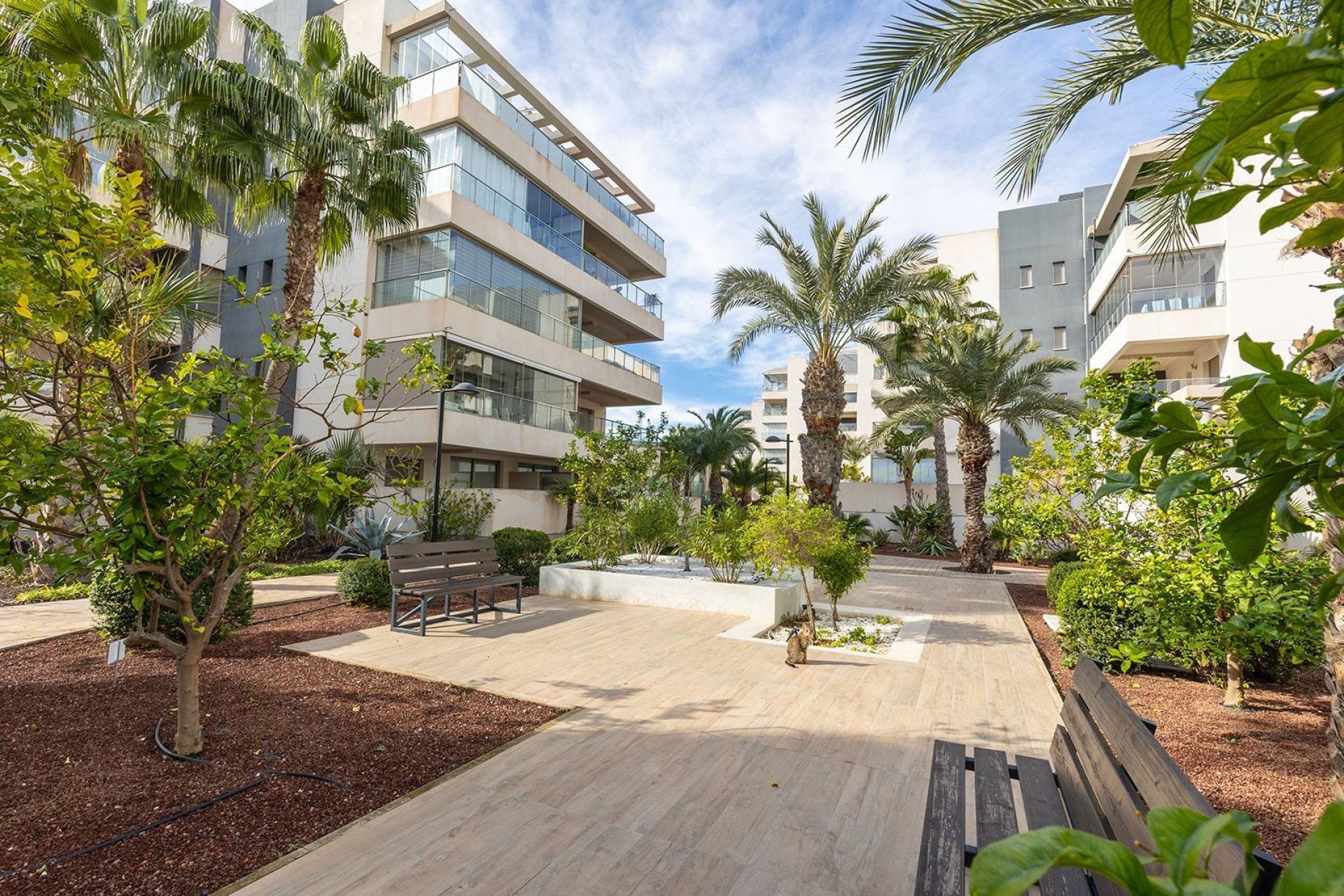Reventa - Apartamento / piso -
Orihuela Costa - Los Dolses