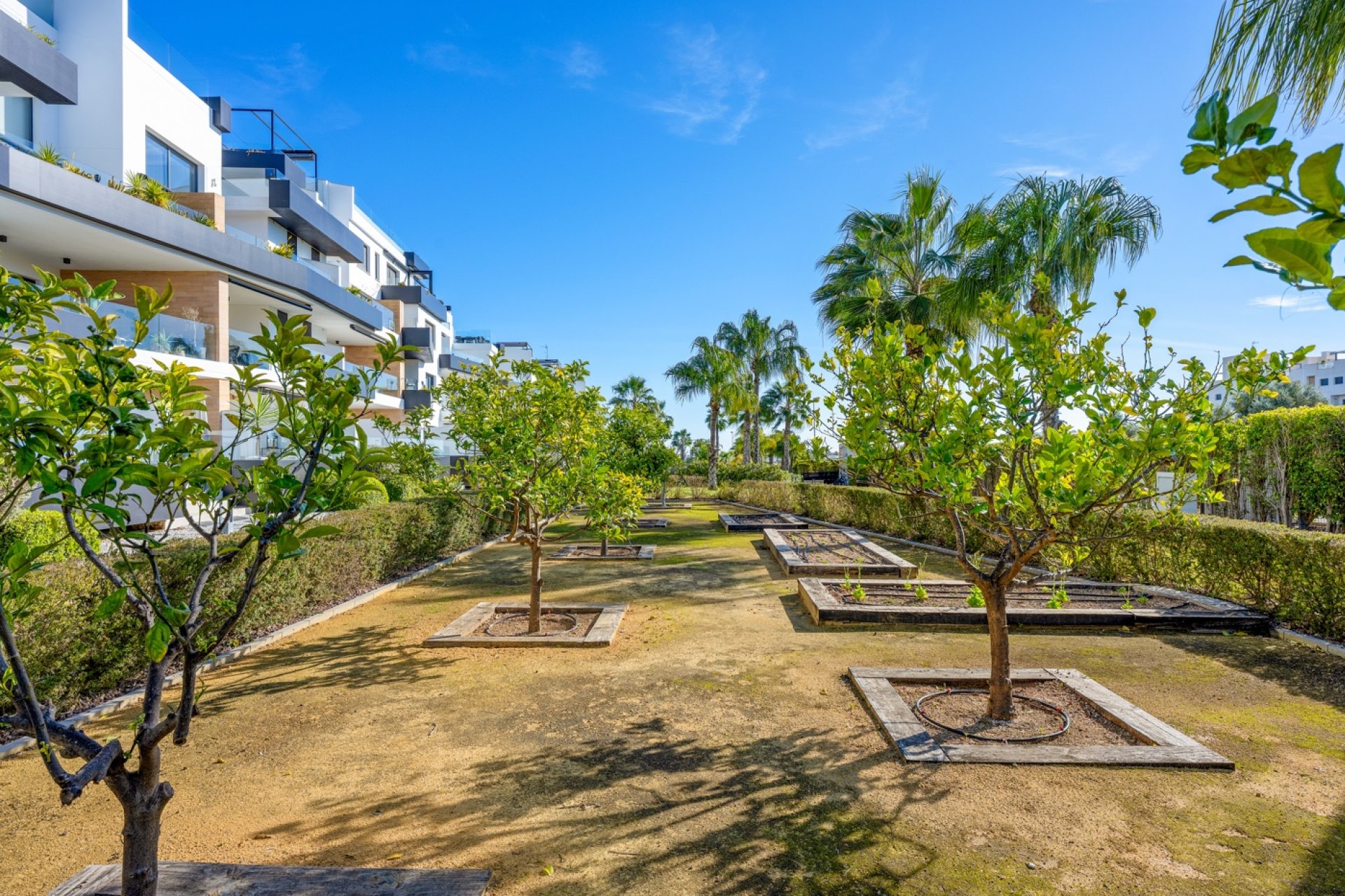 Reventa - Apartamento / piso -
Orihuela Costa - Los Dolses