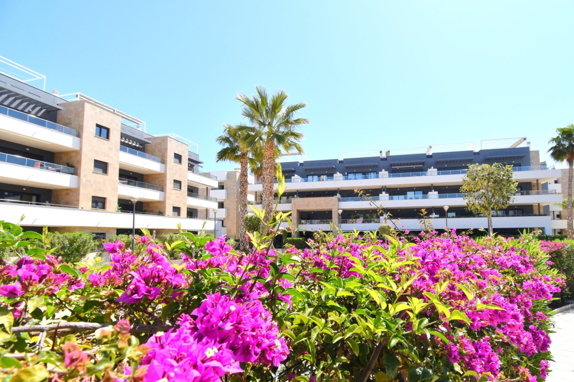 Reventa - Apartamento / piso -
Orihuela Costa - Playa Flamenca