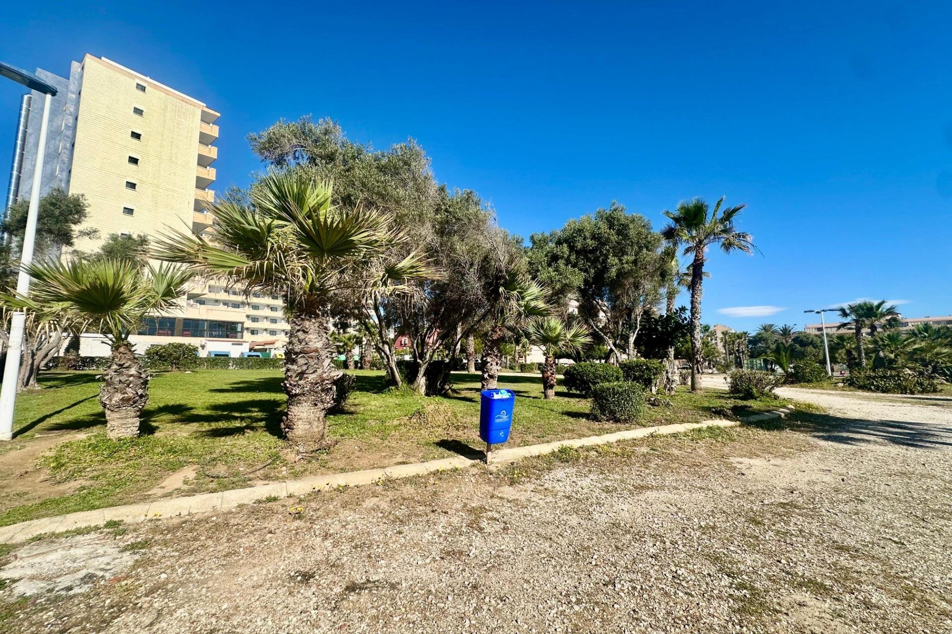 Reventa - Apartamento / piso -
Torrevieja - Cabo cervera