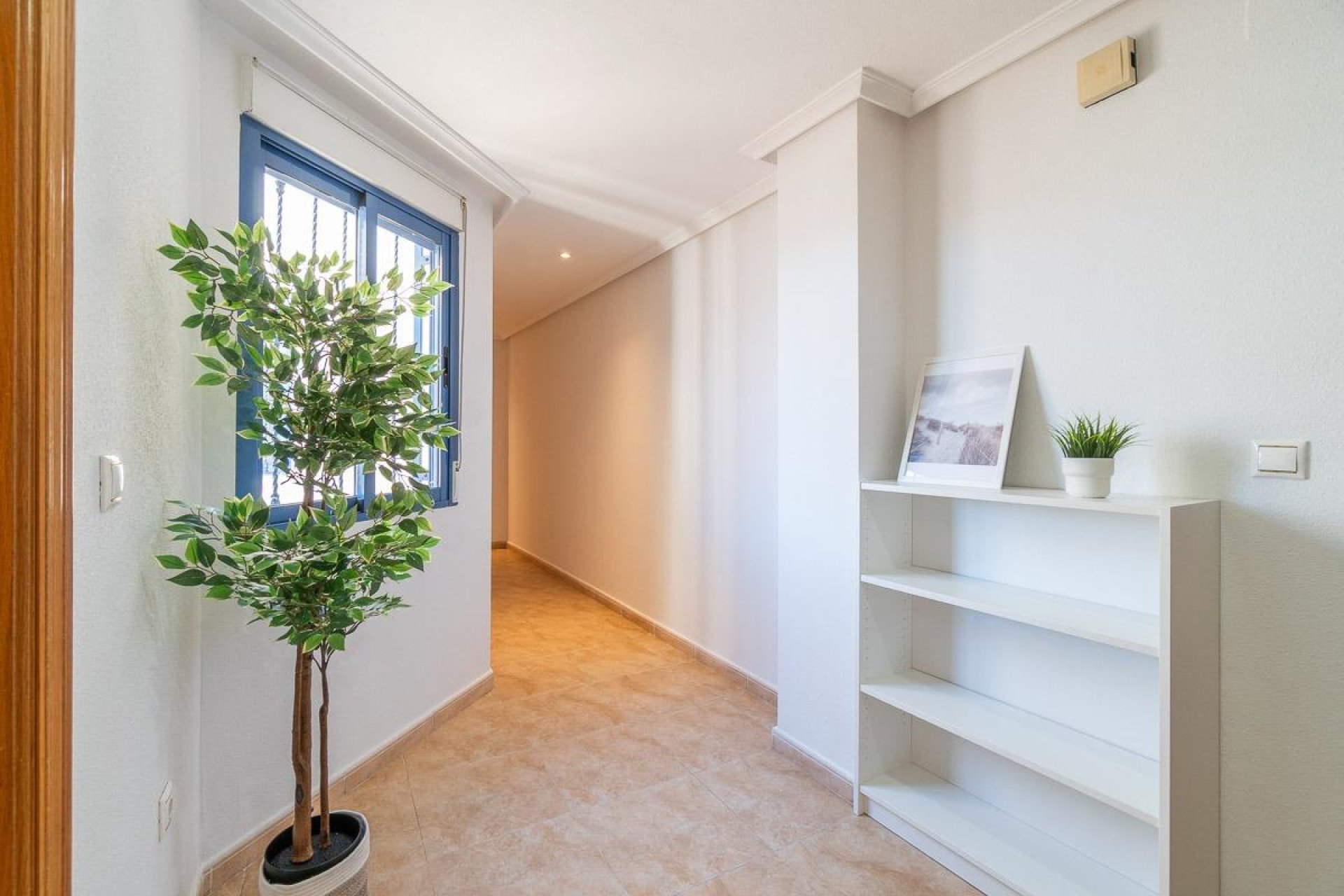 Reventa - Apartamento / piso -
Torrevieja - Centro