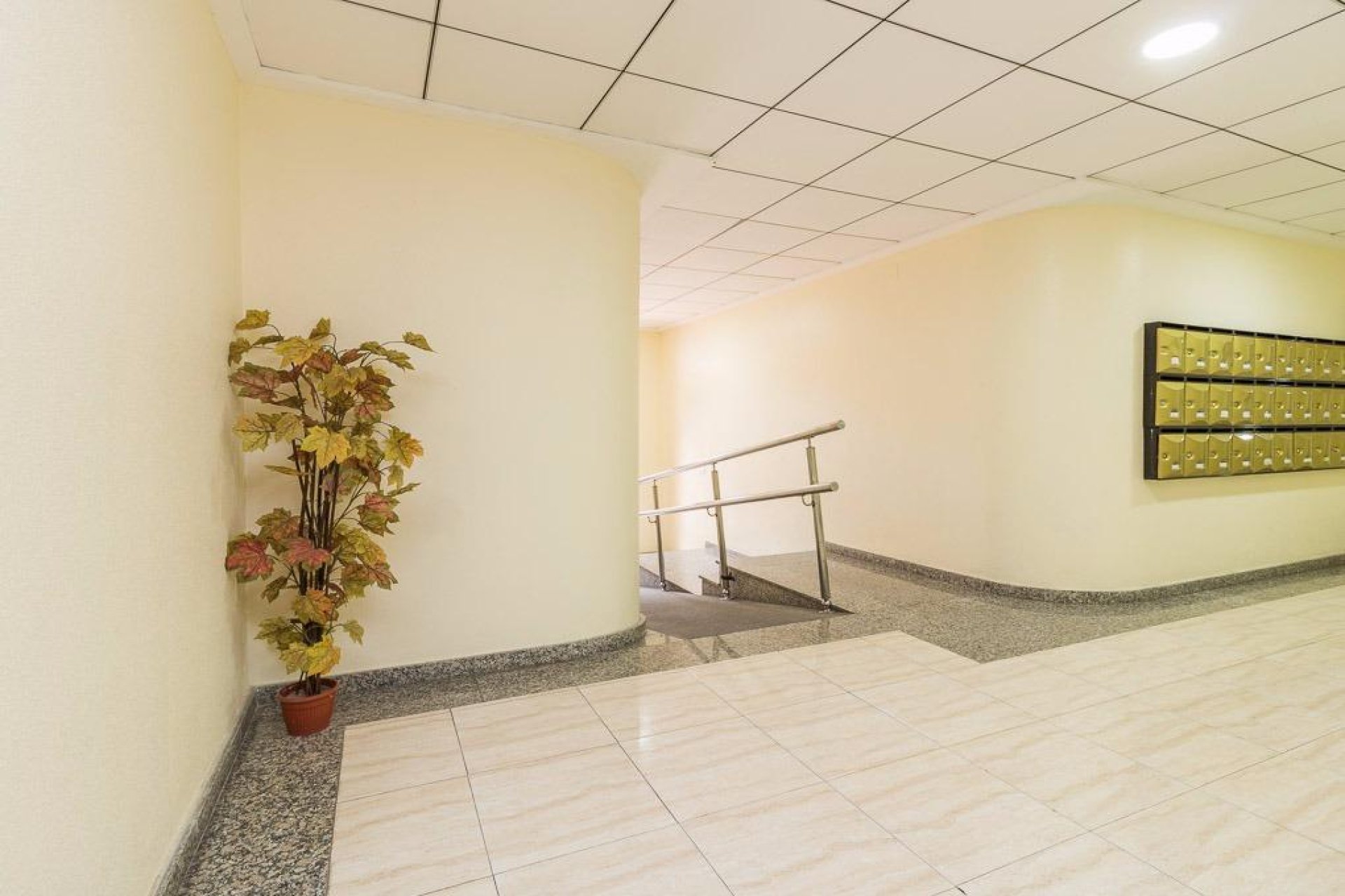 Reventa - Apartamento / piso -
Torrevieja - Centro