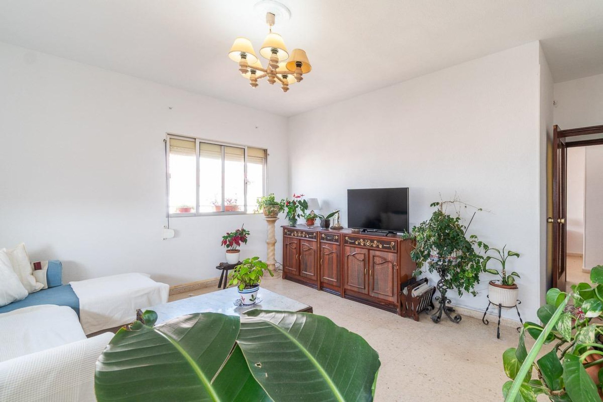Reventa - Apartamento / piso -
Torrevieja - Centro