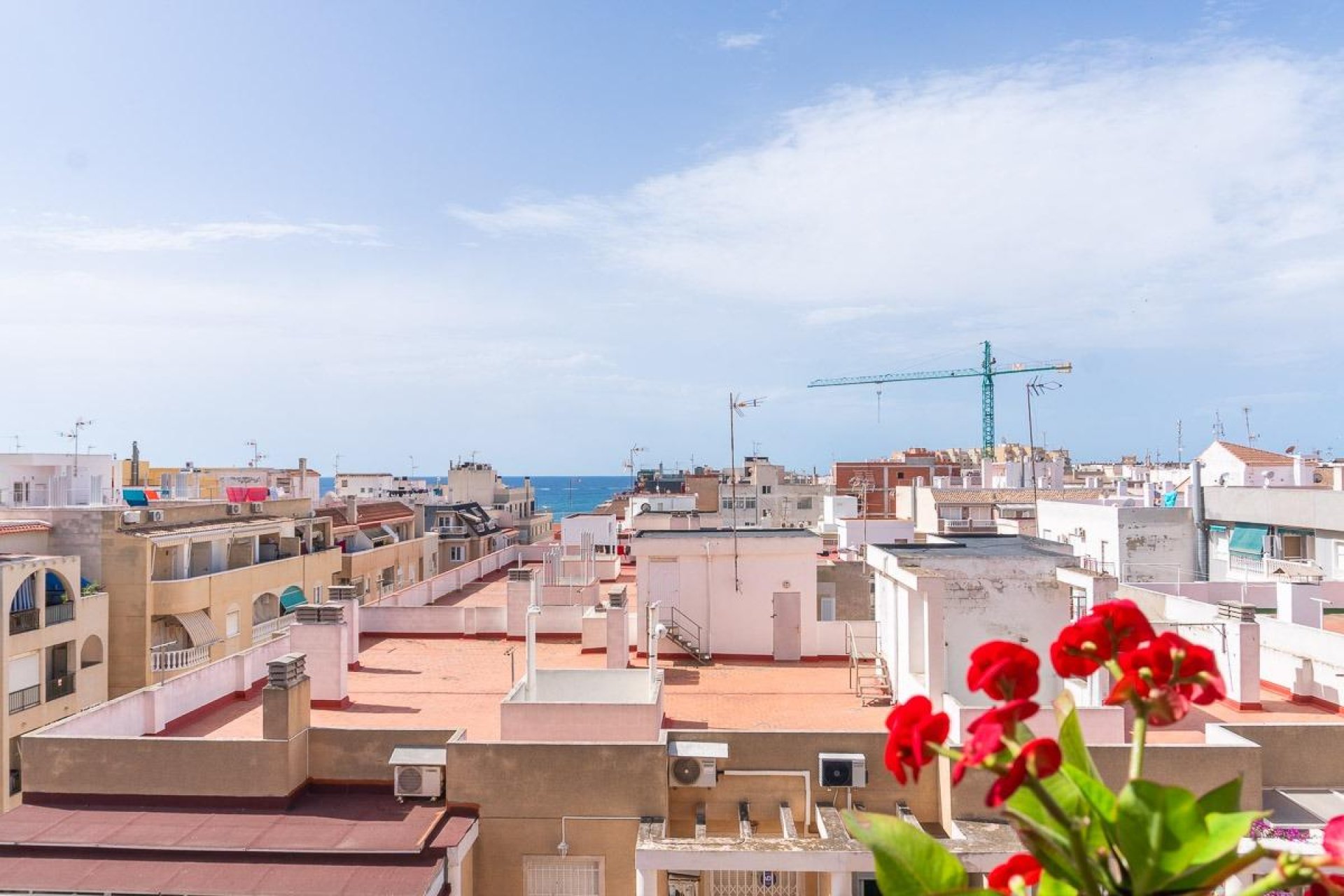 Reventa - Apartamento / piso -
Torrevieja - Centro