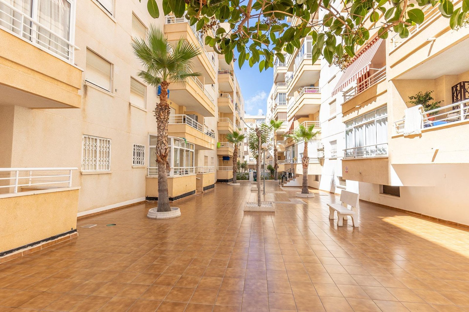 Reventa - Apartamento / piso -
Torrevieja - Estacion de autobuses