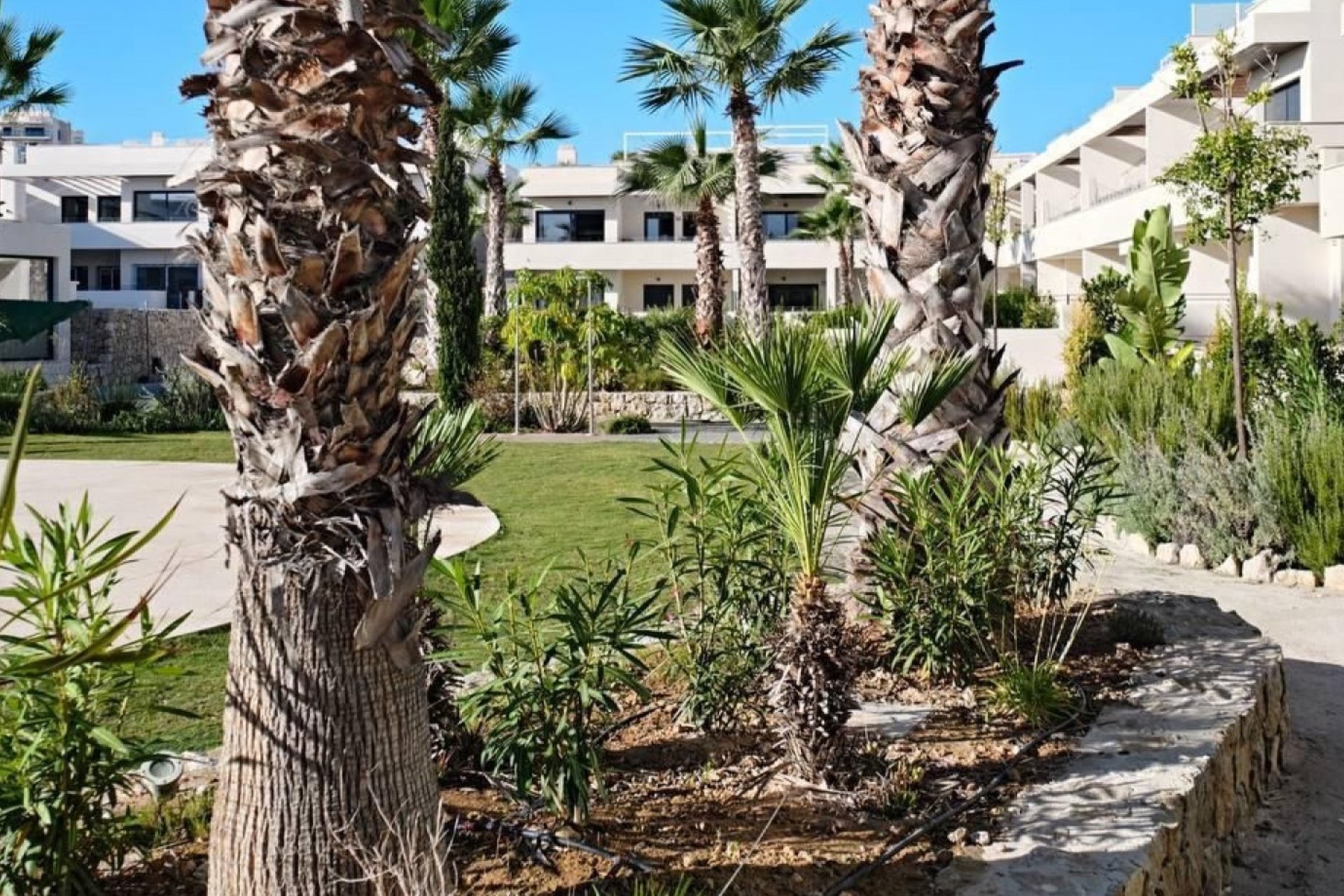 Reventa - Apartamento / piso -
Torrevieja - La Veleta