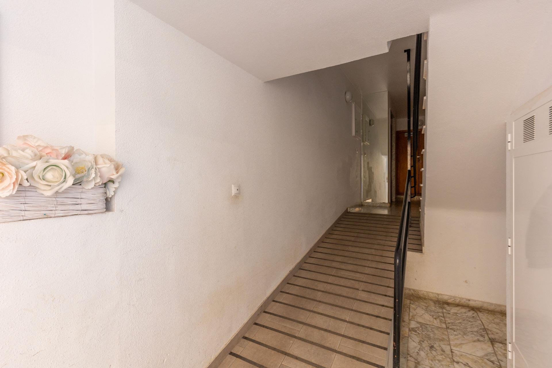 Reventa - Apartamento / piso -
Torrevieja - Nueva Torrevieja