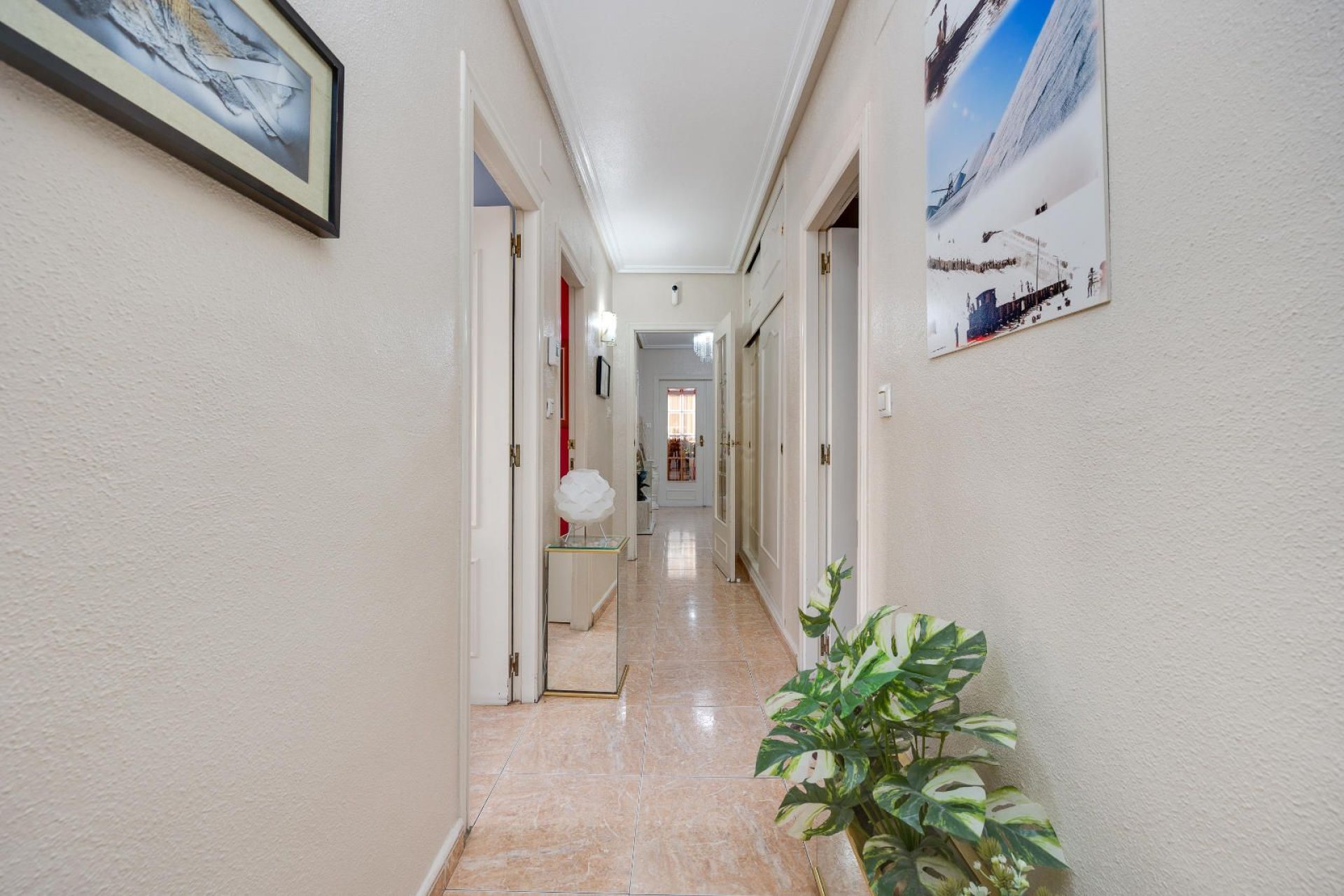 Reventa - Apartamento / piso -
Torrevieja - Paseo maritimo
