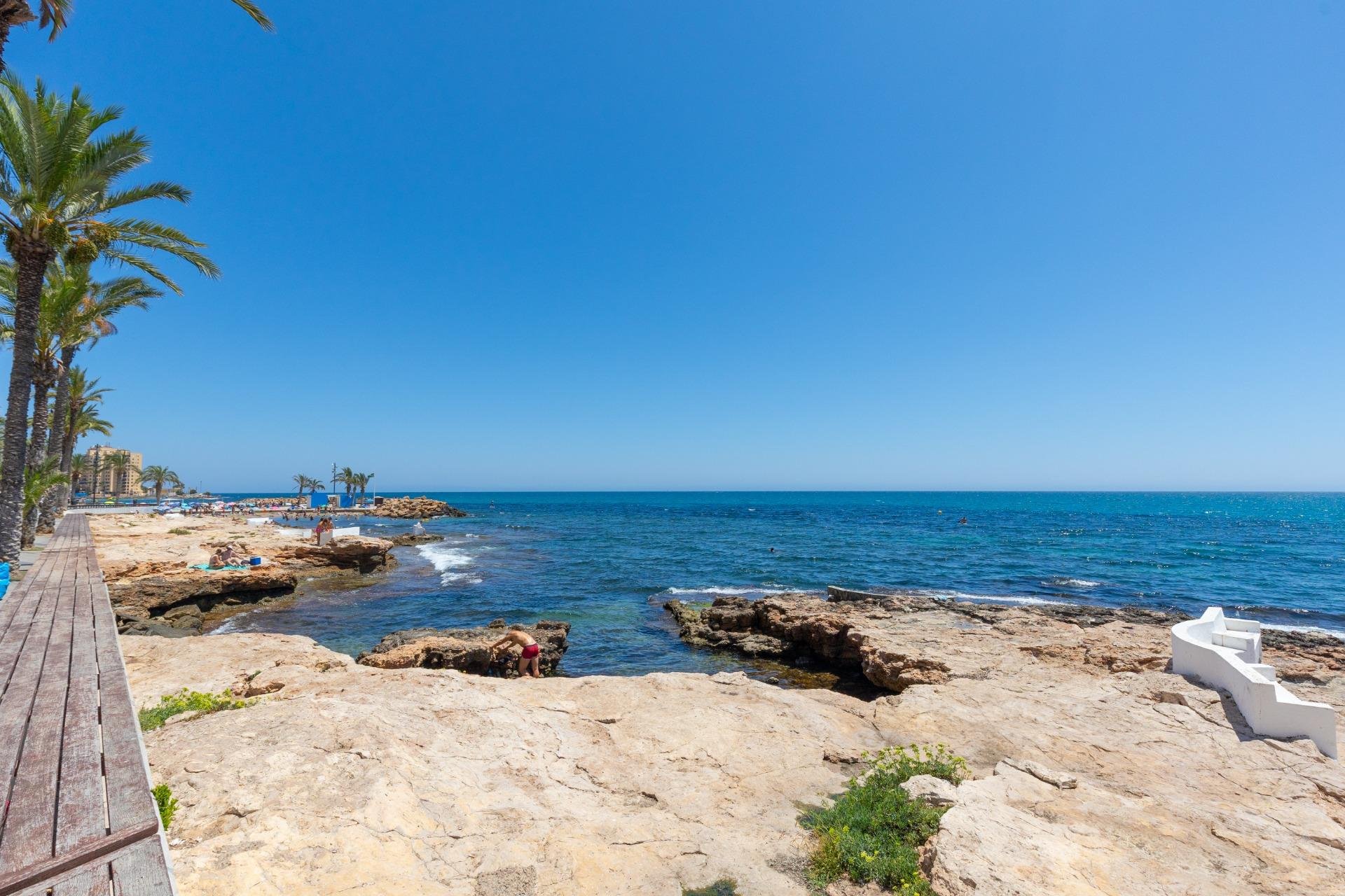 Reventa - Apartamento / piso -
Torrevieja - Paseo maritimo