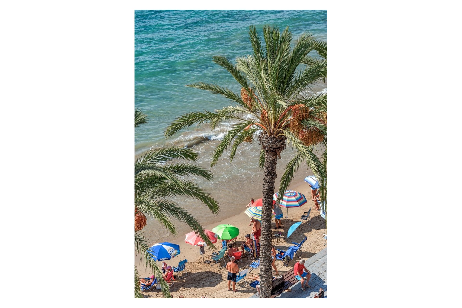 Reventa - Apartamento / piso -
Torrevieja - Playa Del Cura