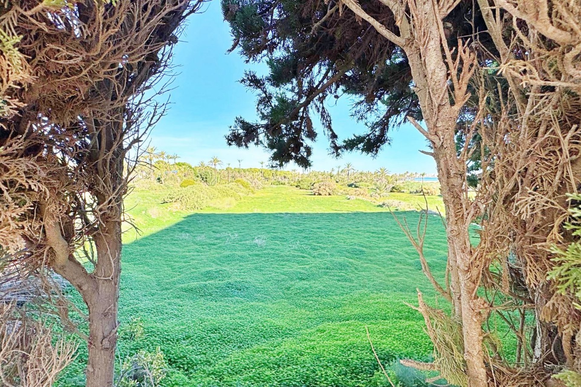 Reventa - Apartamento / piso -
Torrevieja - Punta prima