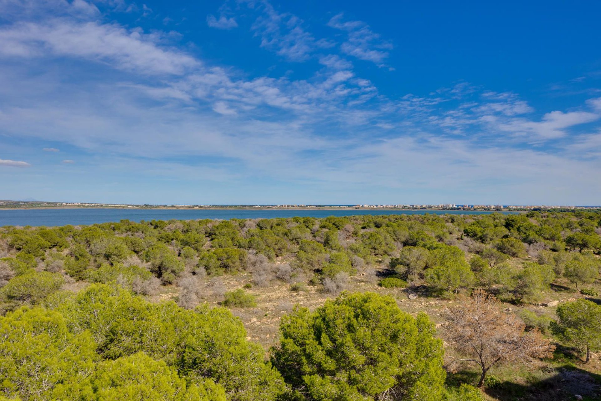 Reventa - Apartamento / piso -
Torrevieja - San Luis - Chaparal