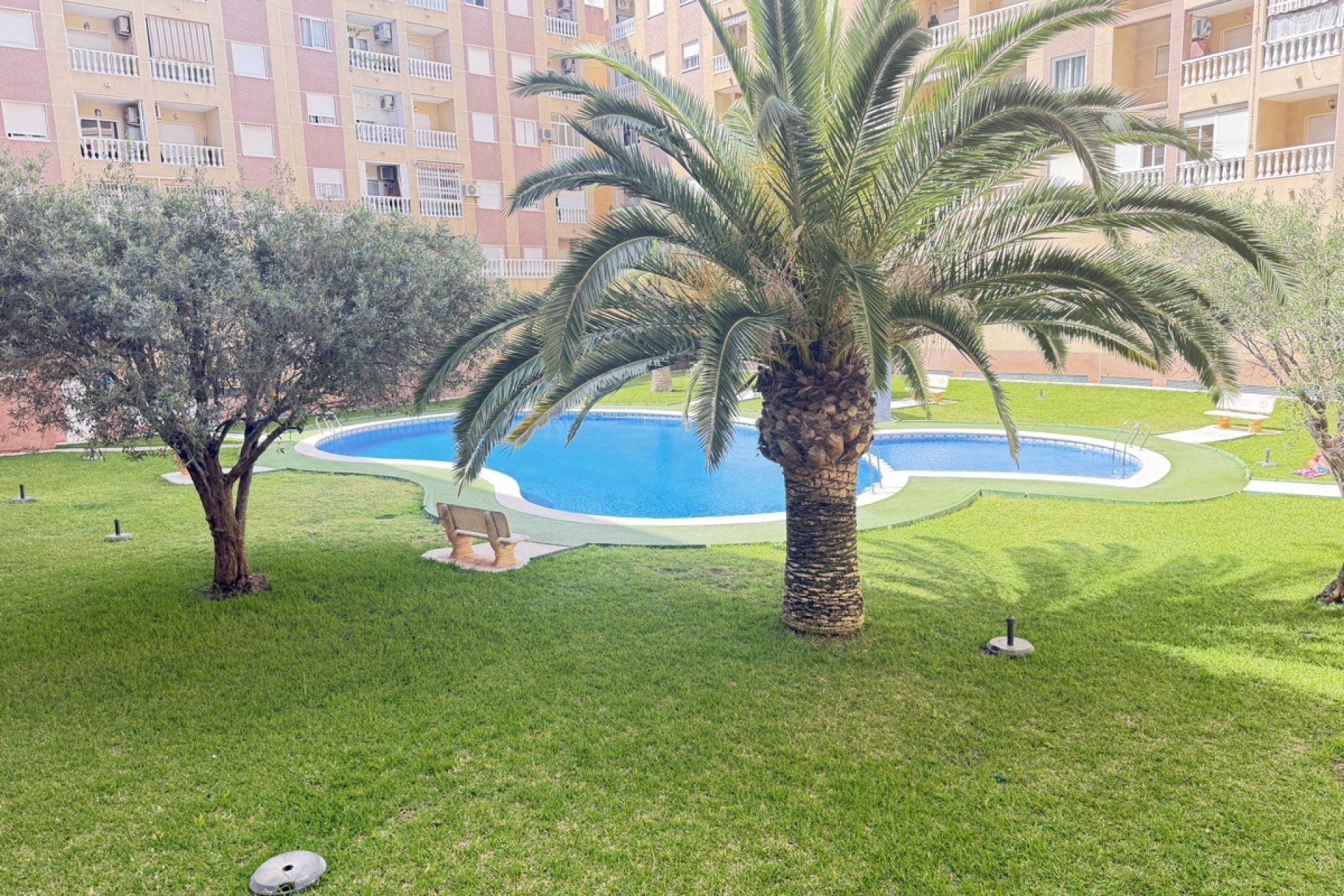 Reventa - Apartamento / piso -
Torrevieja - Torrevieja - Centre