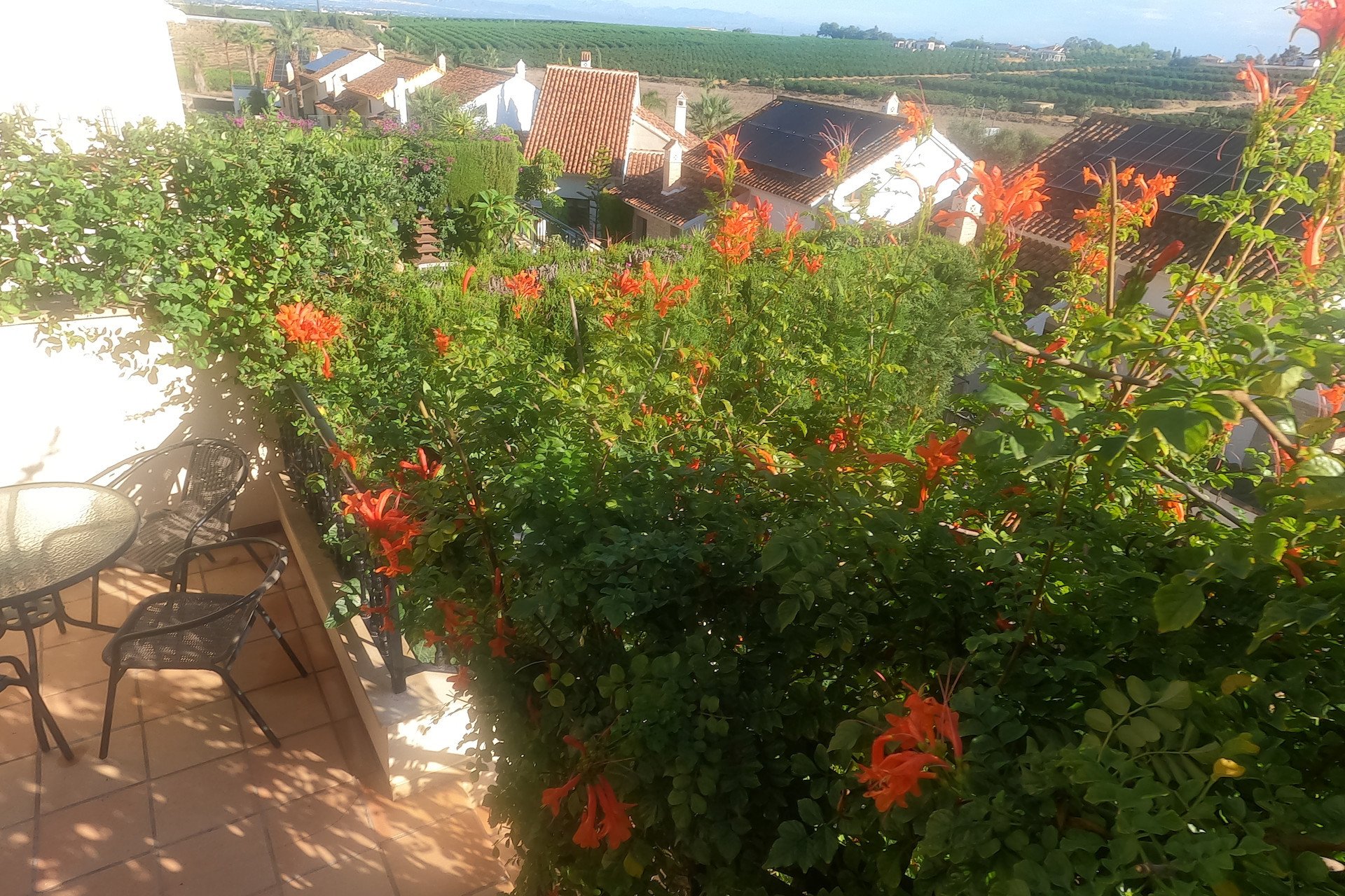 Reventa - Bungalow -
Algorfa - La Finca Golf Resort