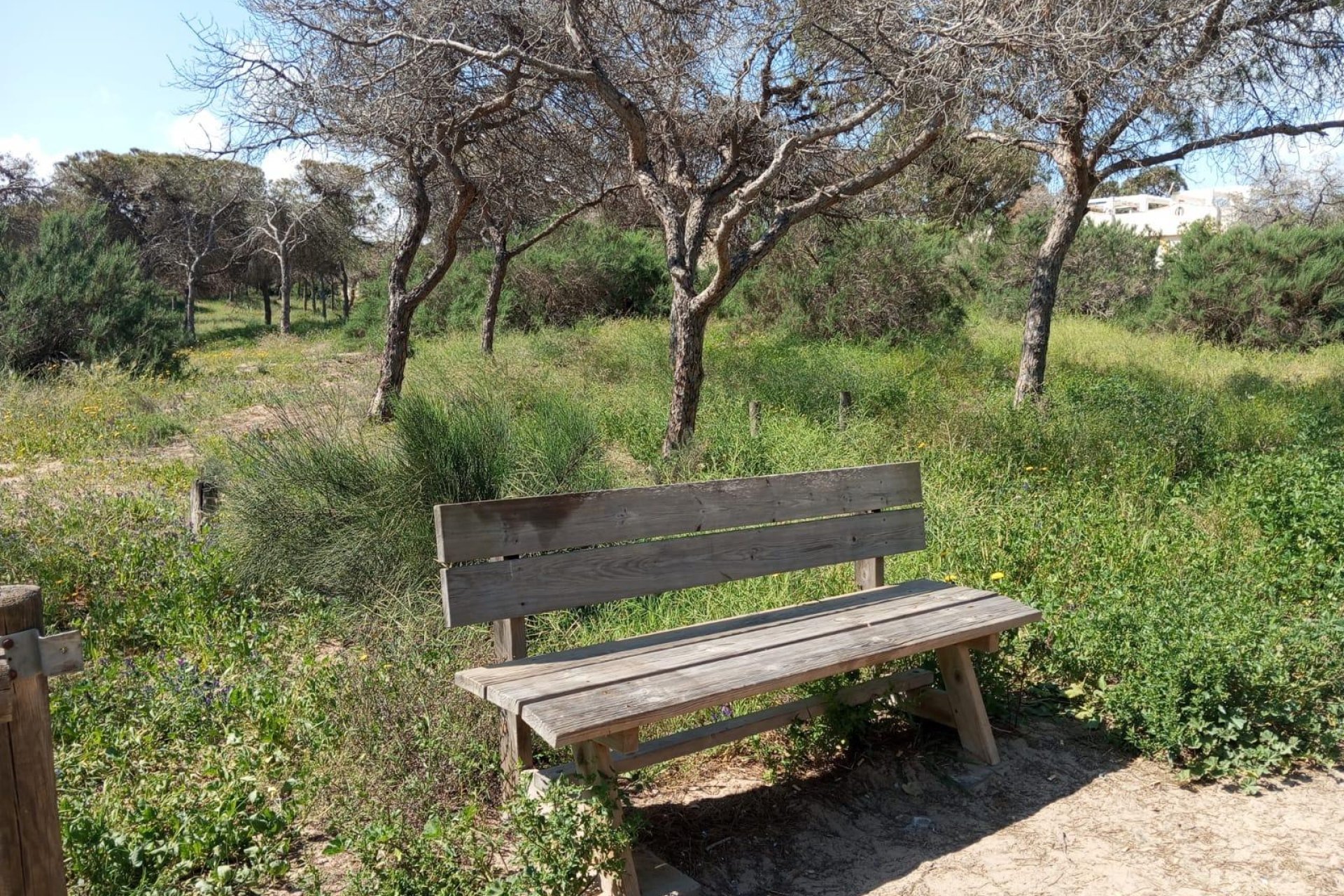 Reventa - Bungalow -
Guardamar del Segura - Urbanizaciones