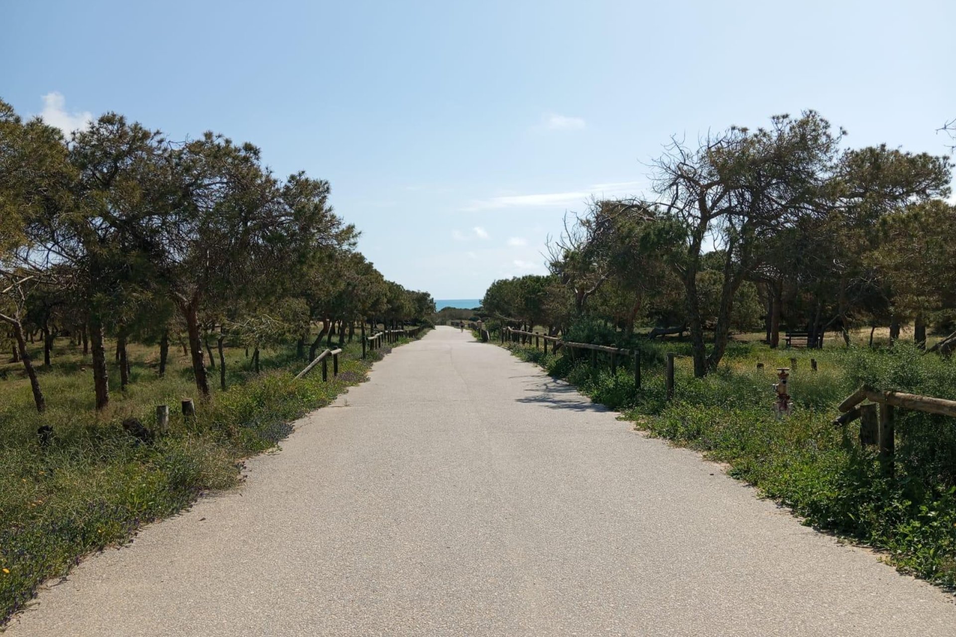 Reventa - Bungalow -
Guardamar del Segura - Urbanizaciones