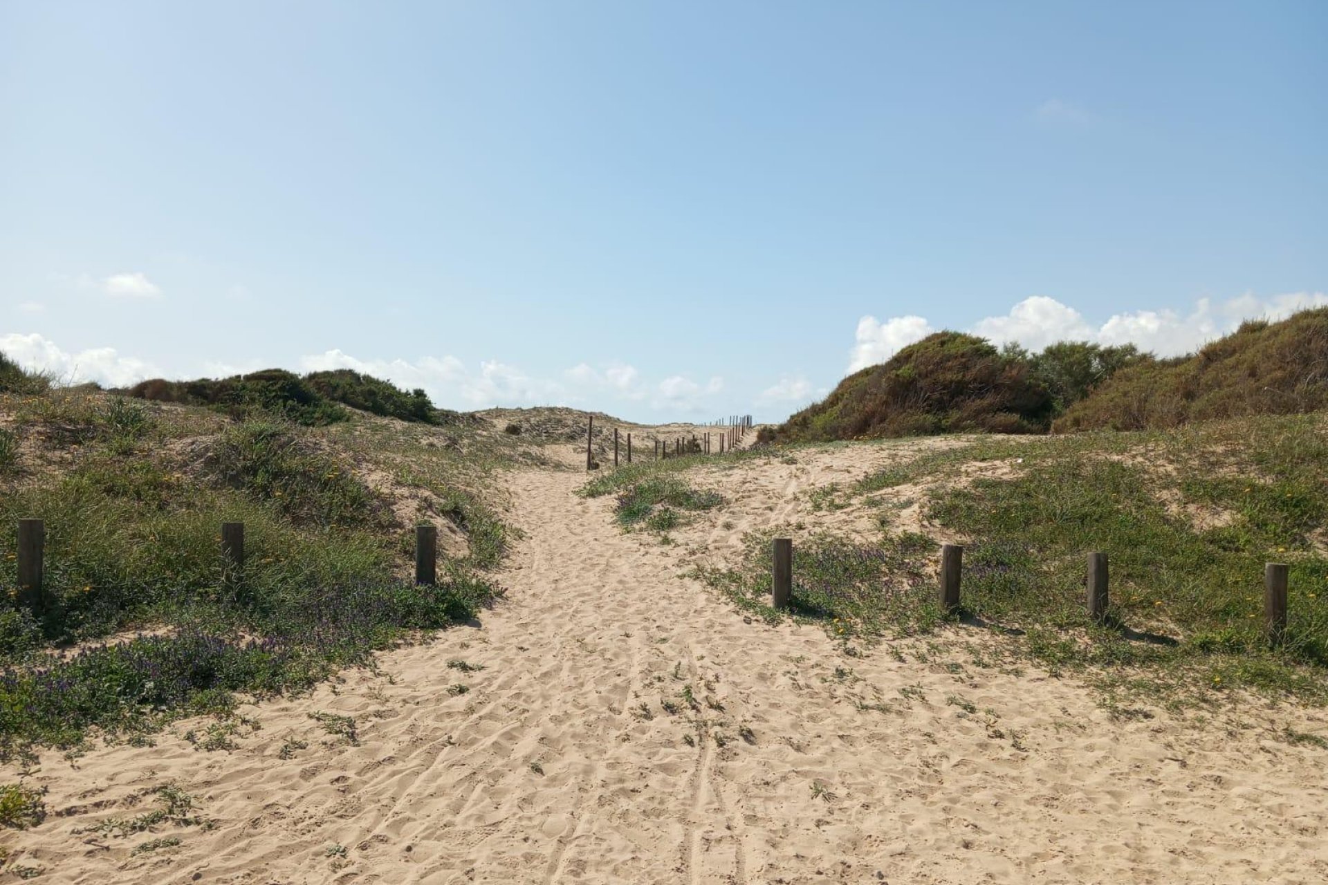 Reventa - Bungalow -
Guardamar del Segura - Urbanizaciones