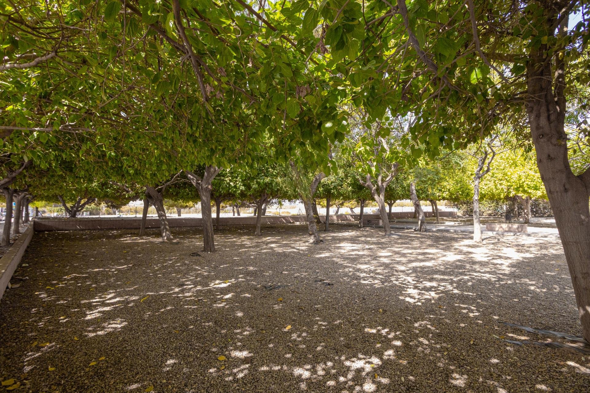 Reventa - Bungalow -
Torrevieja - Playa de los Naufragos