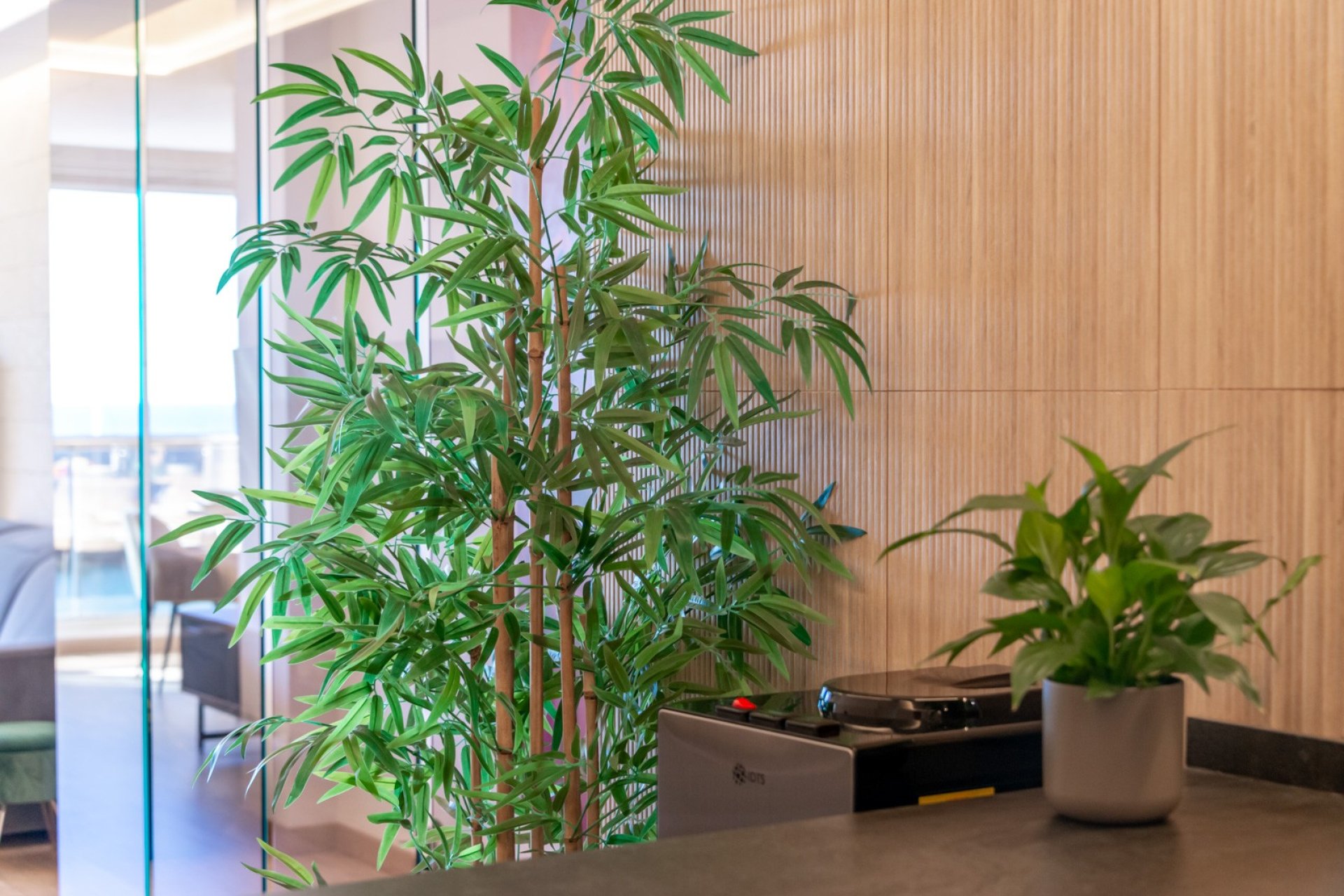 Reventa - Duplex -
Altea - Mascarat