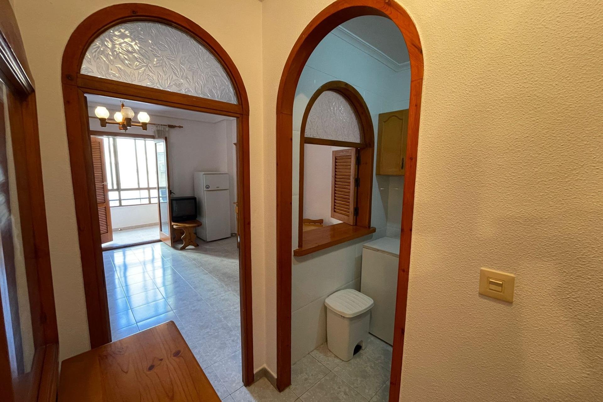 Reventa - Estudio -
Torrevieja - Estacion de autobuses