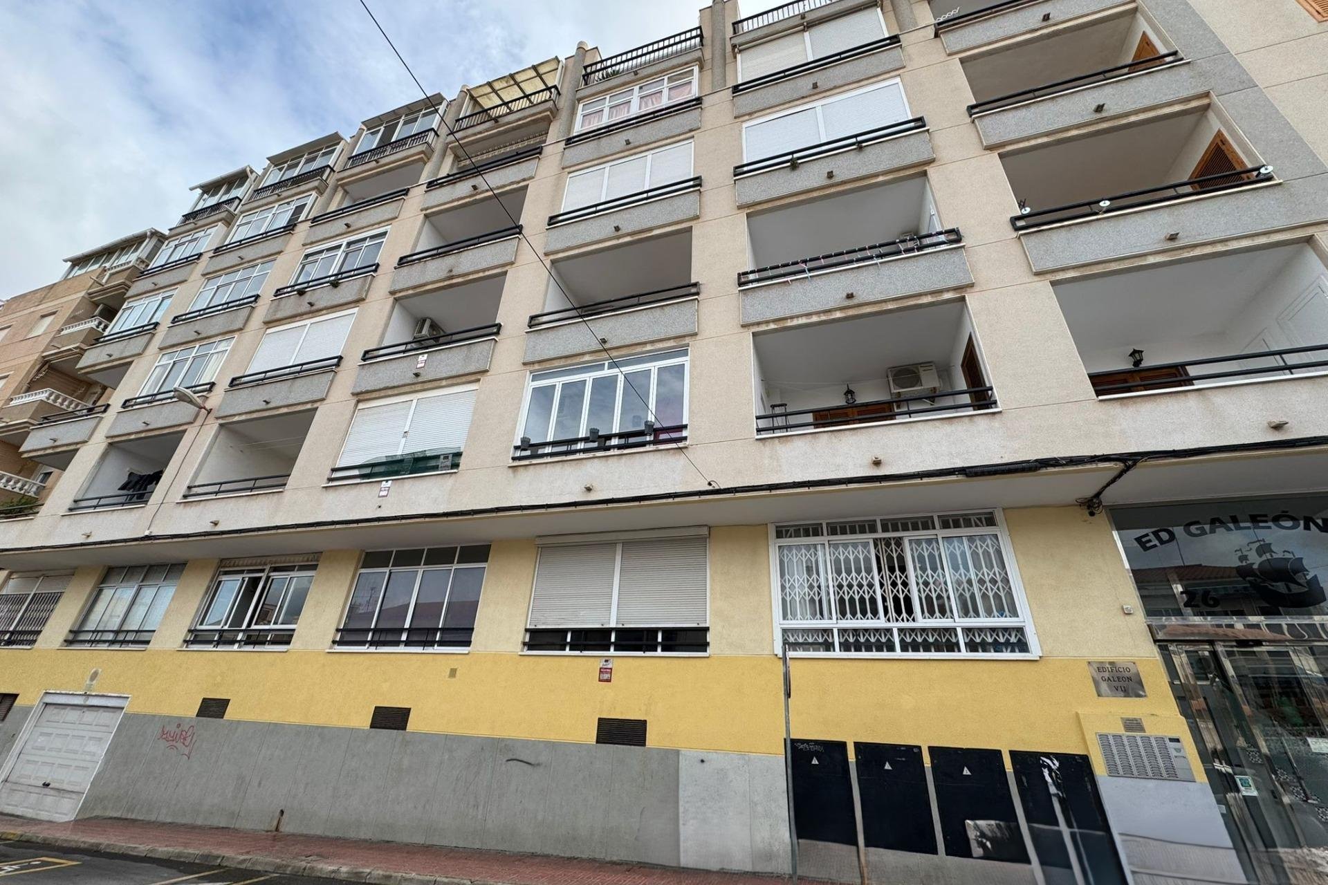 Reventa - Estudio -
Torrevieja - Estacion de autobuses