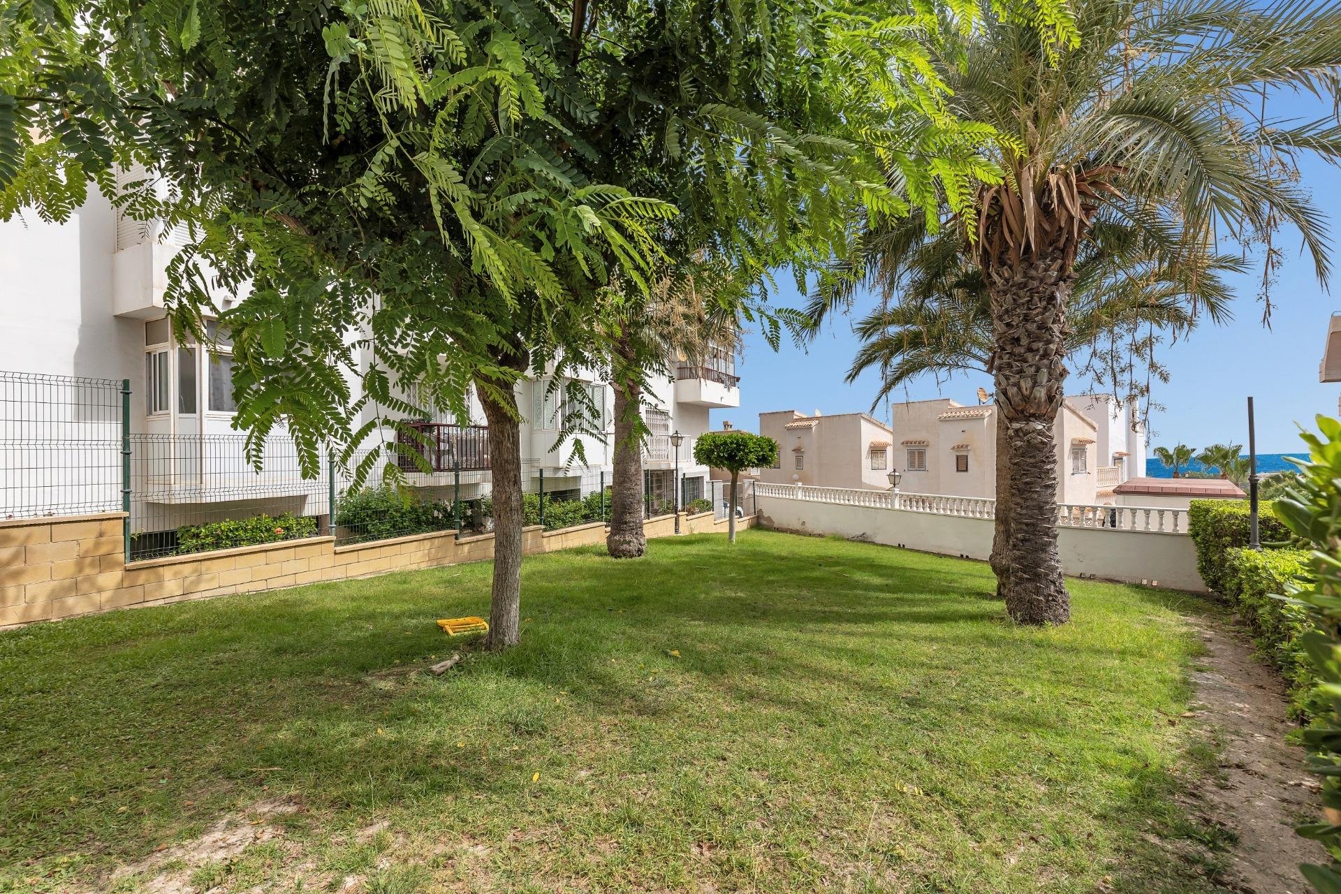 Reventa - Estudio -
Torrevieja - Torreblanca