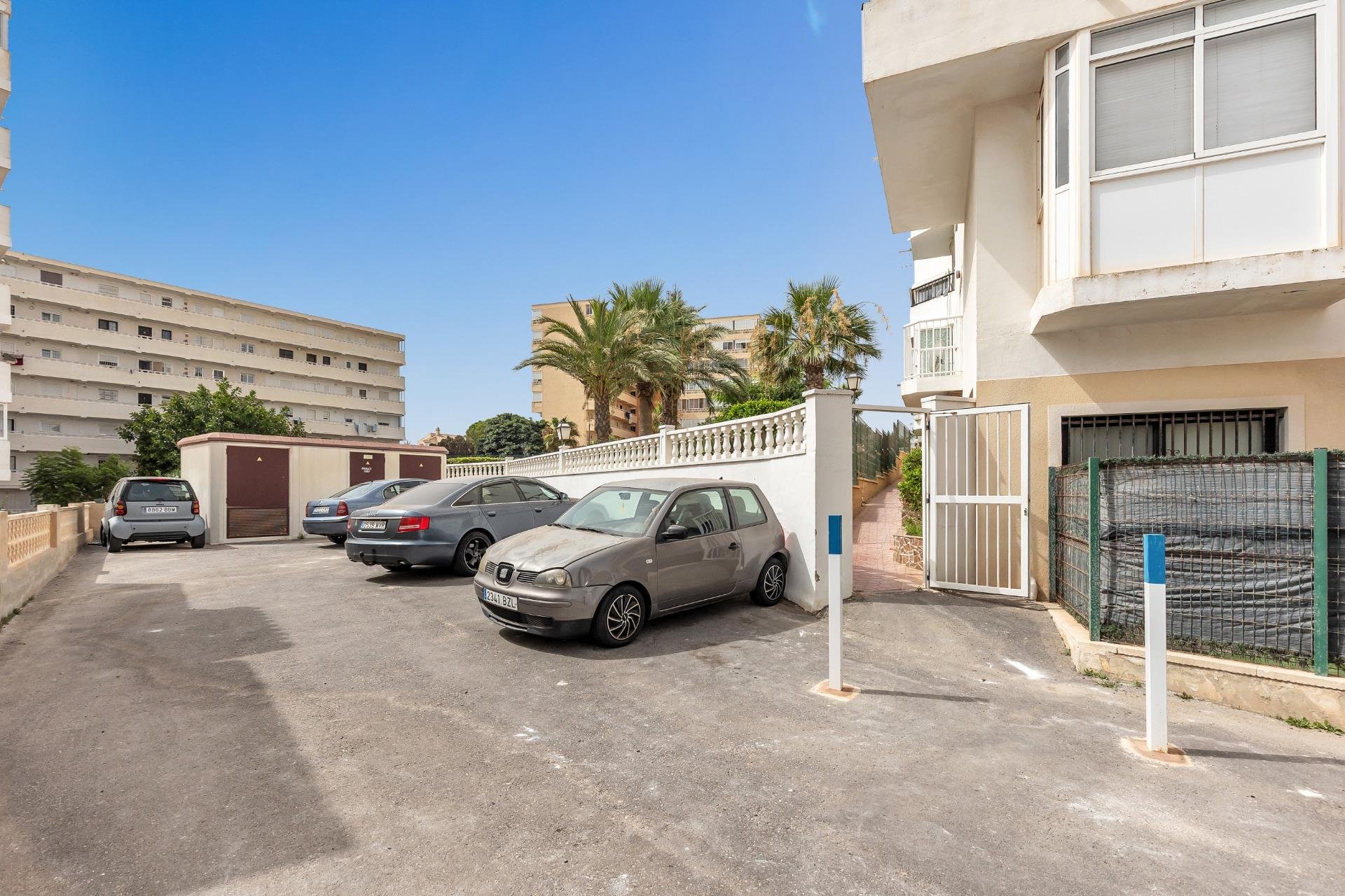 Reventa - Estudio -
Torrevieja - Torreblanca