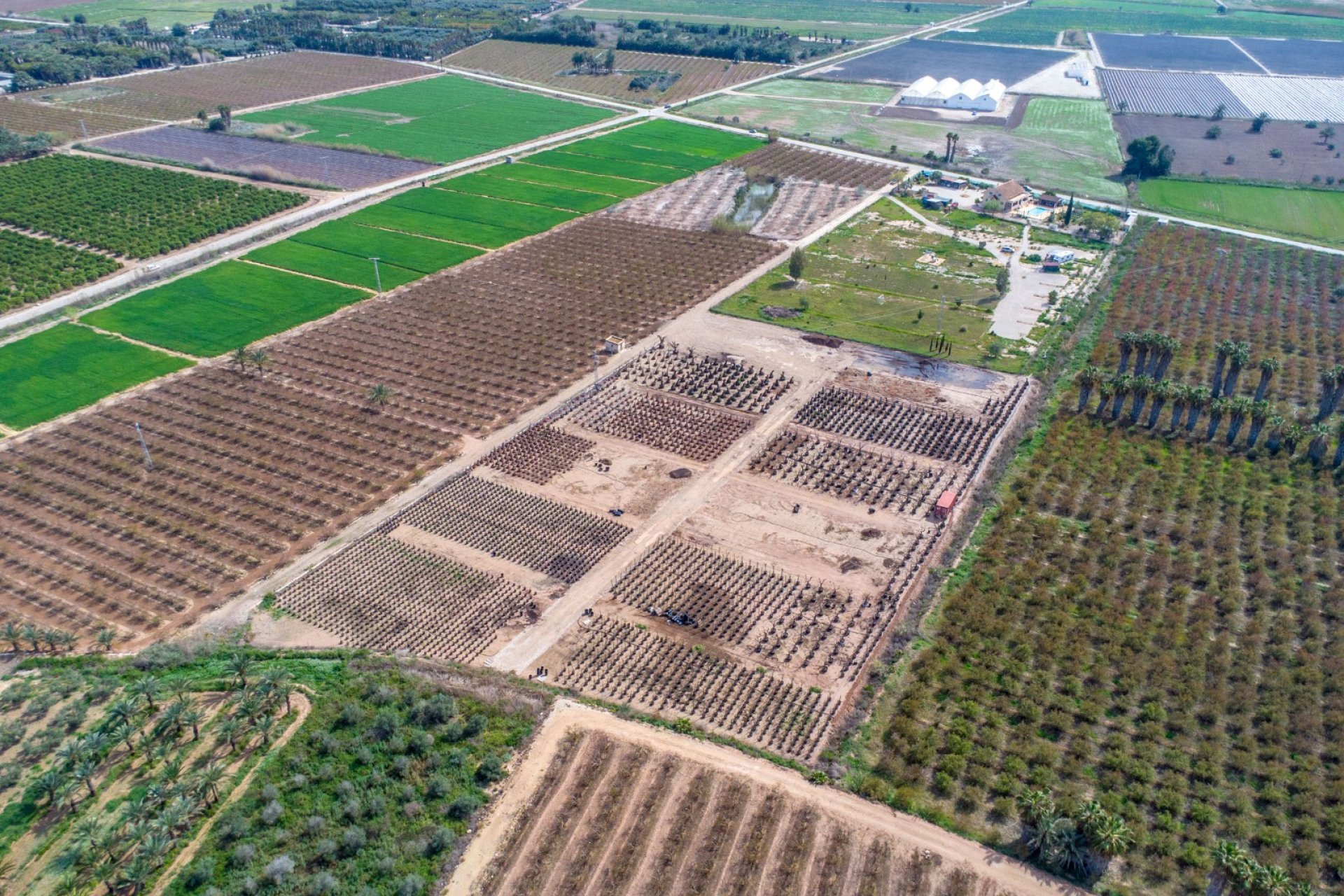 Reventa - Finca -
Albatera - Albatera - Country