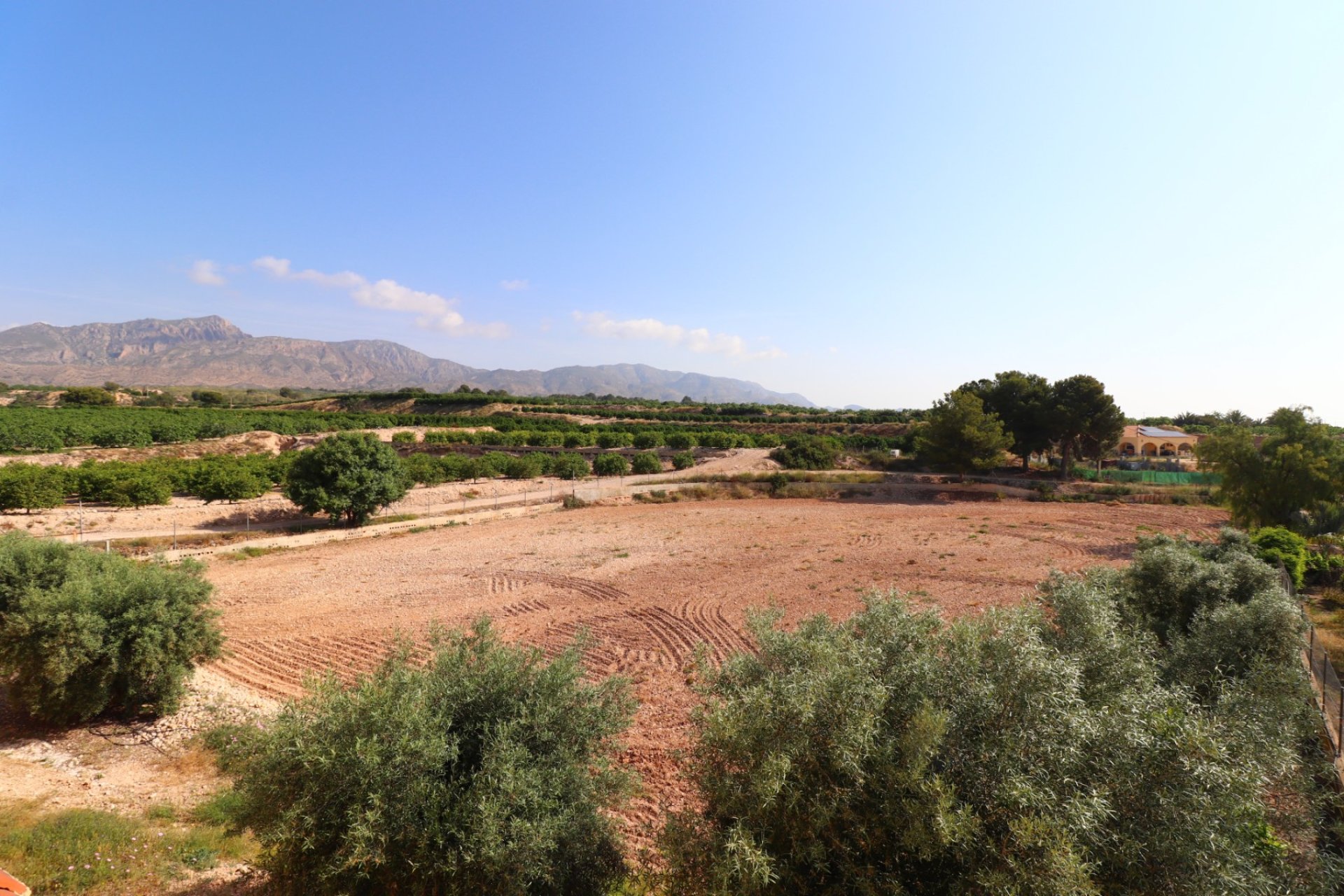 Reventa - Finca -
Albatera - Albatera - Country
