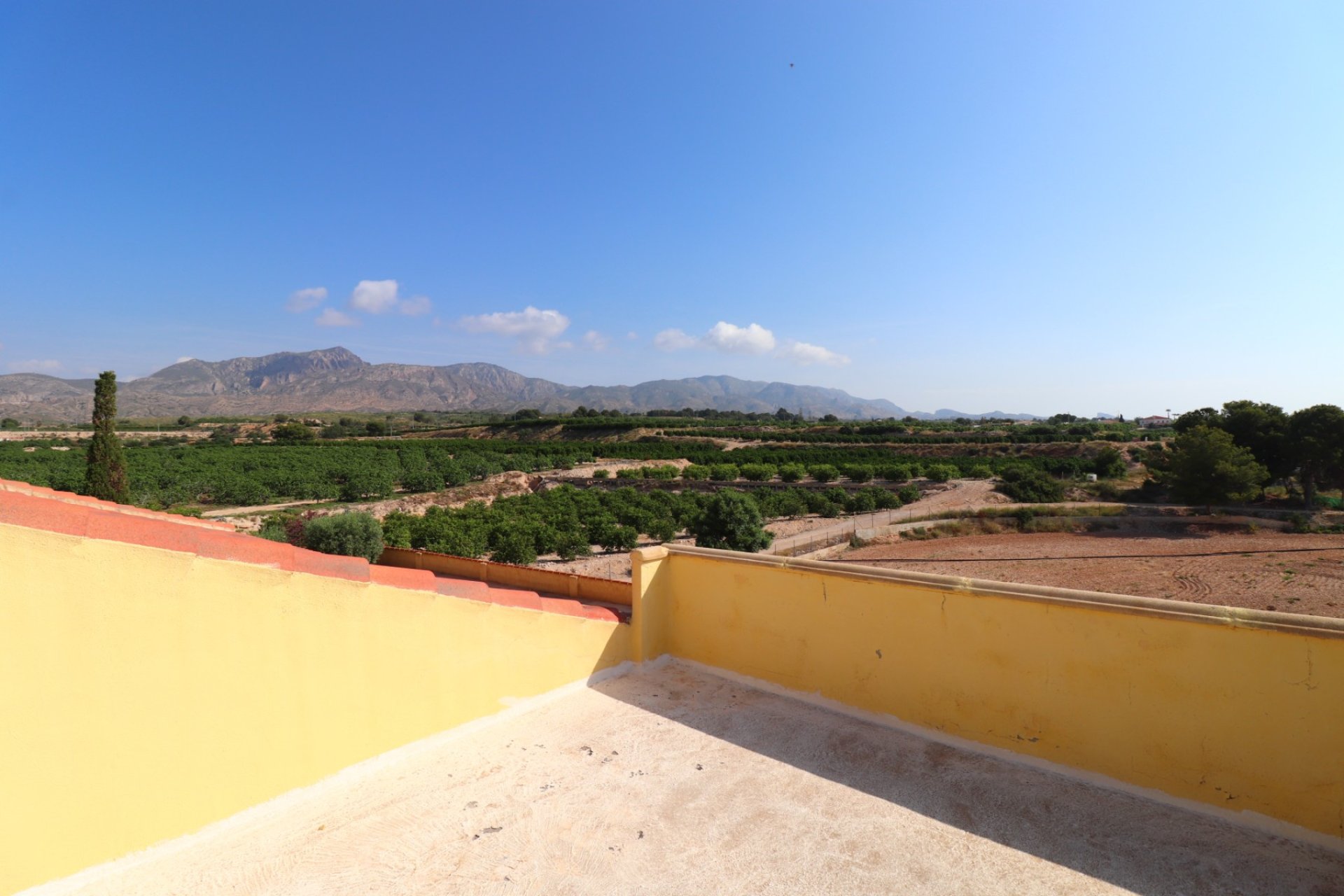 Reventa - Finca -
Albatera - Albatera - Country