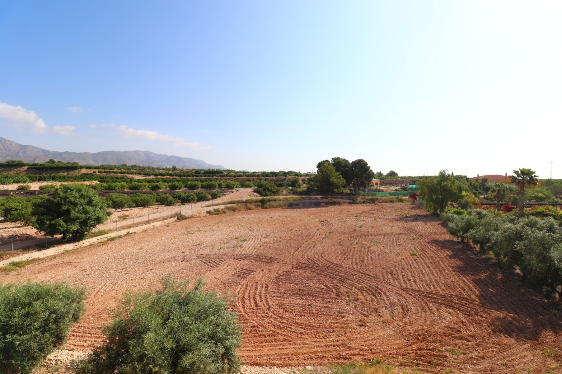 Reventa - Finca -
Albatera - Albatera - Country