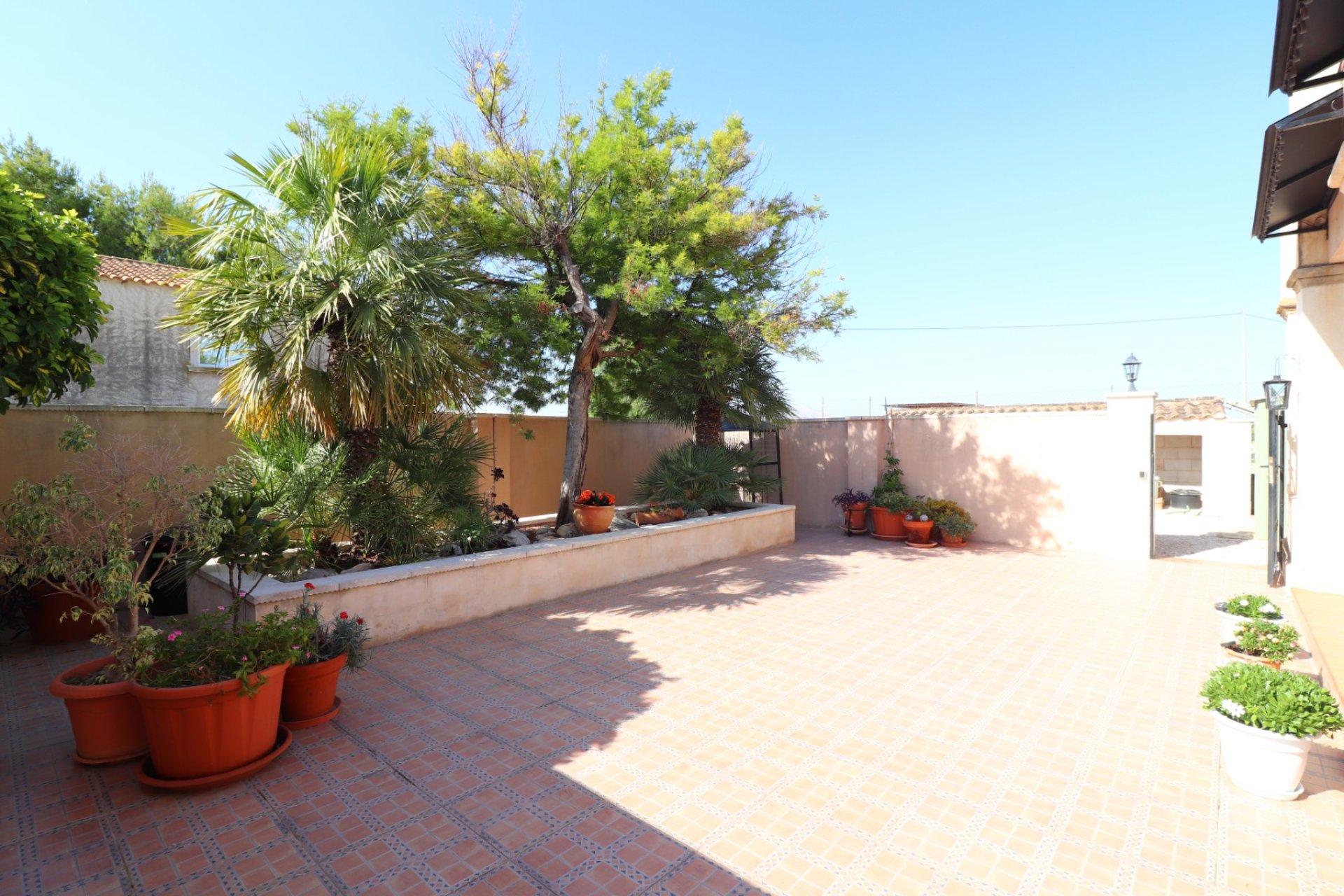 Reventa - Finca -
Albatera - Albatera - Country