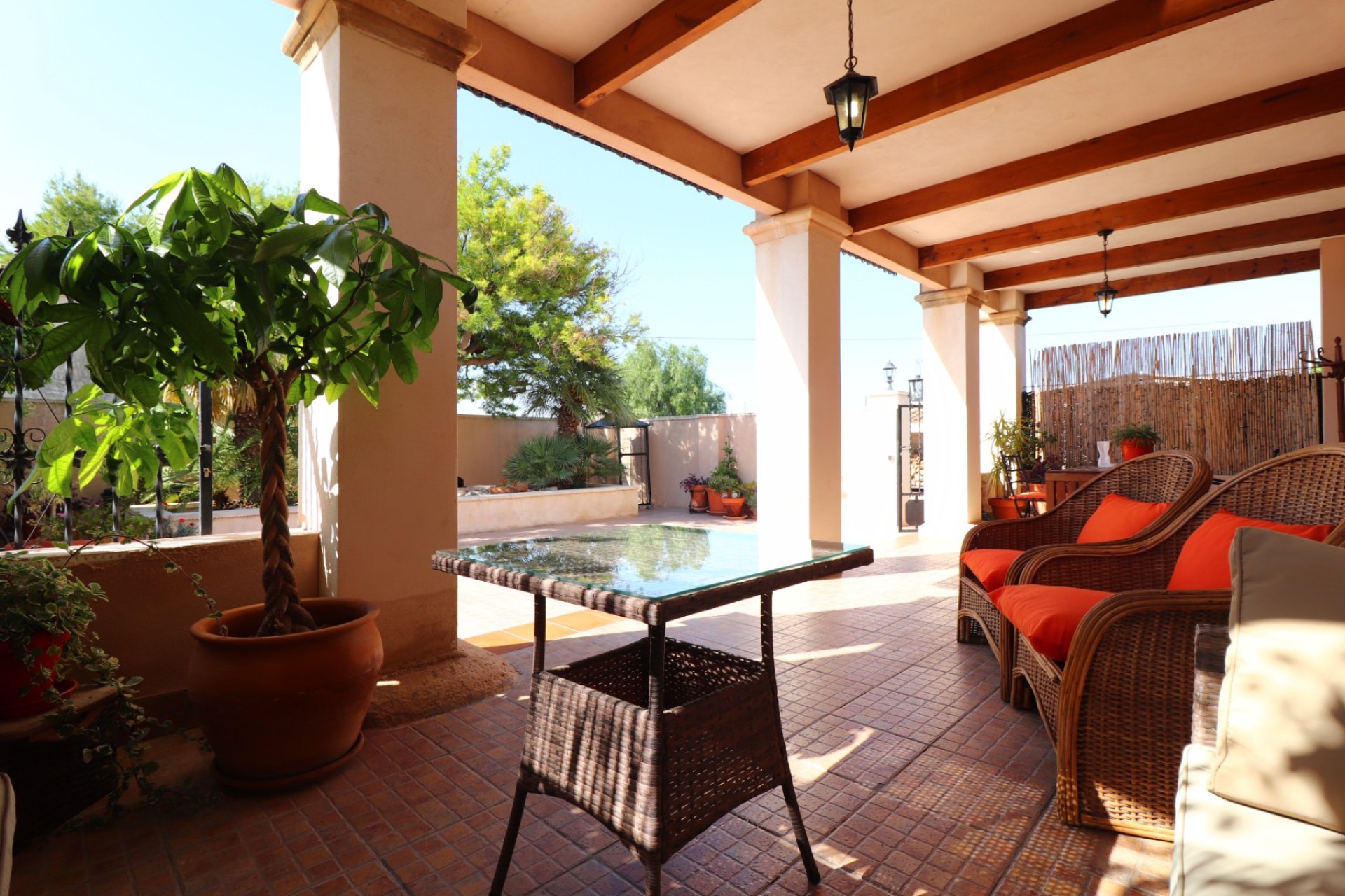 Reventa - Finca -
Albatera - Albatera - Country