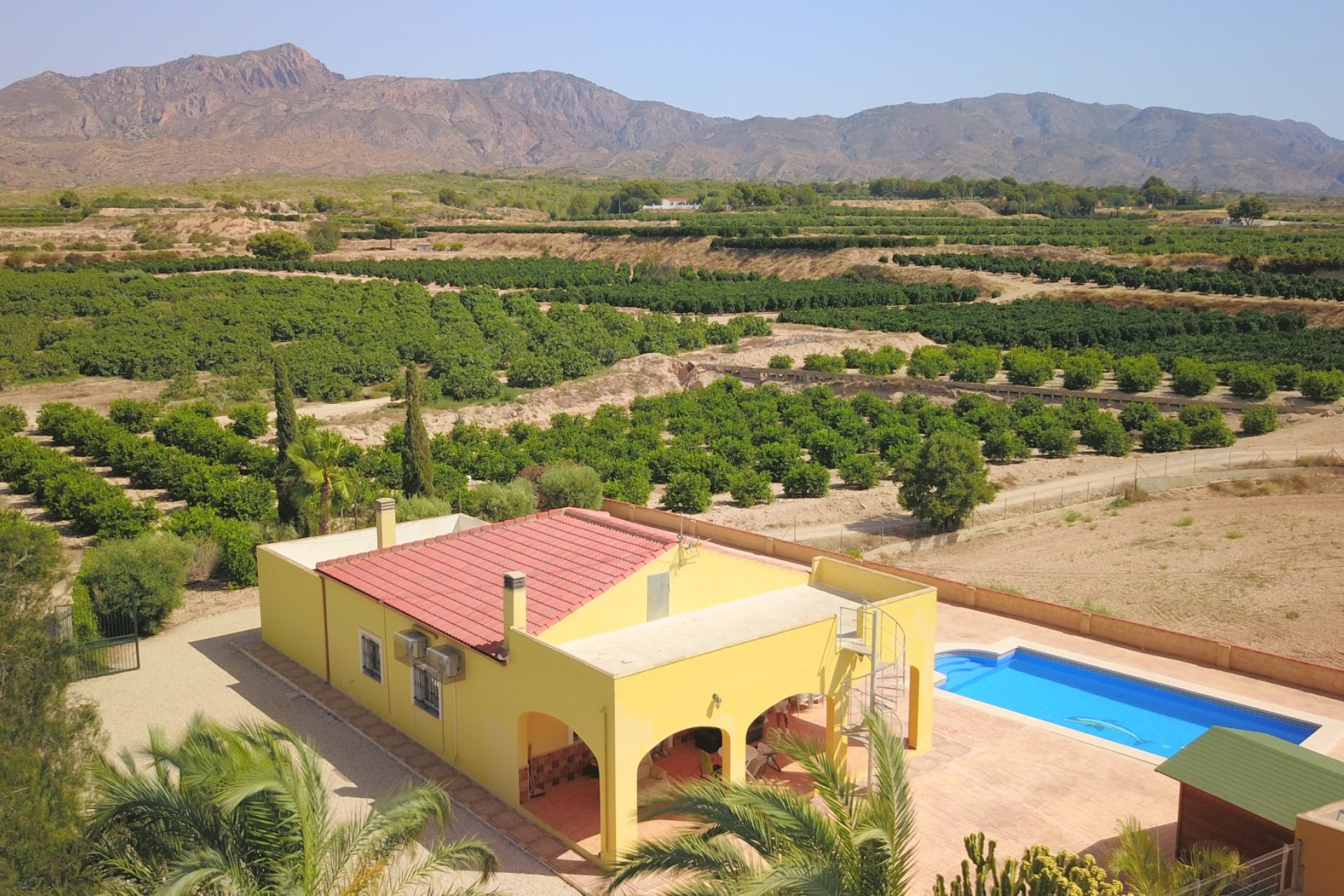 Reventa - Finca -
Albatera - Albatera - Country
