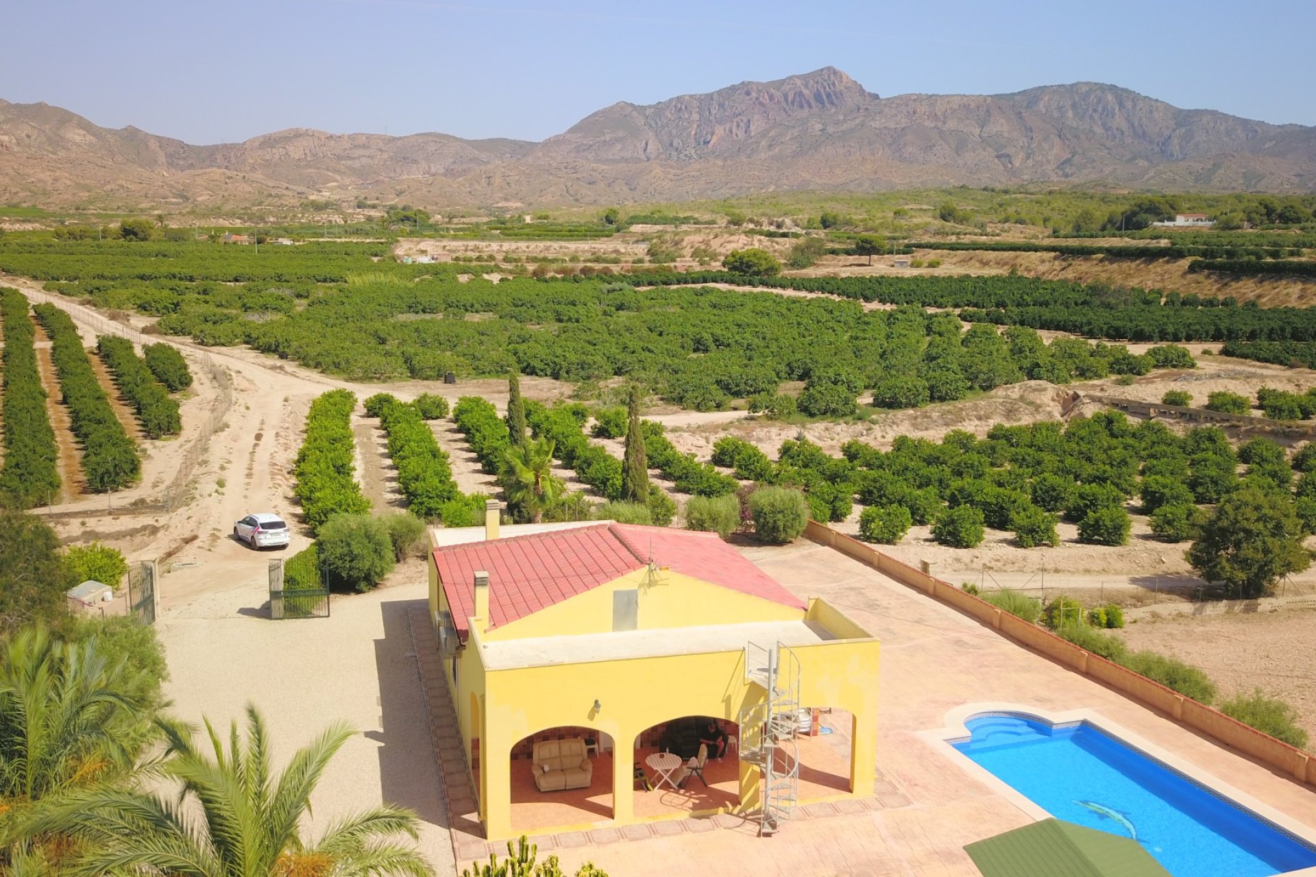 Reventa - Finca -
Albatera - Albatera - Country