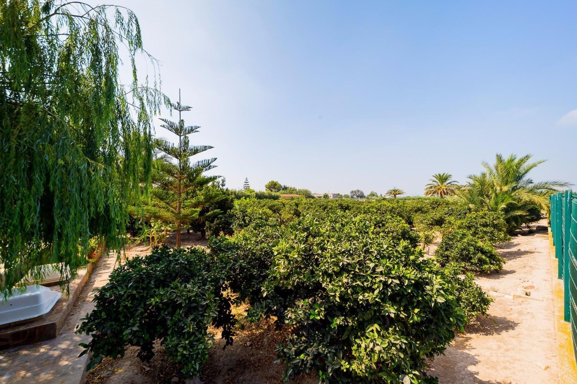 Reventa - Finca -
Almoradi - Almoradi - Country