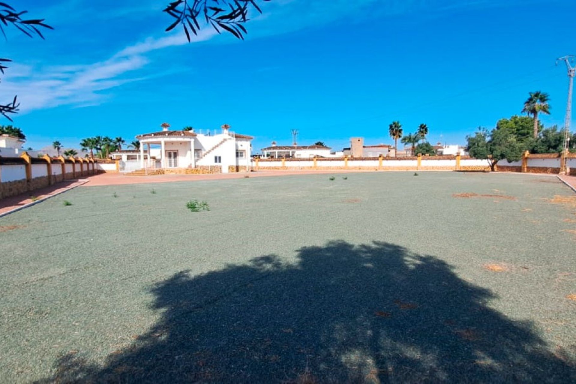 Reventa - Finca -
Catral - Catral - Country